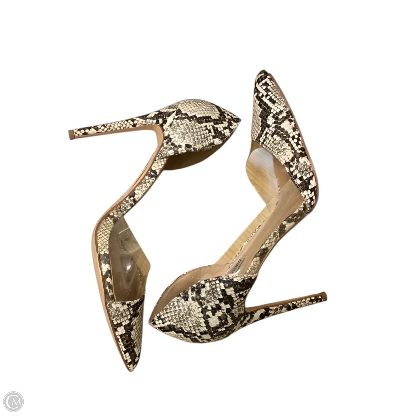 Shoes Heels Stiletto By Steve Madden In Snakeskin Print, Size: 8.5