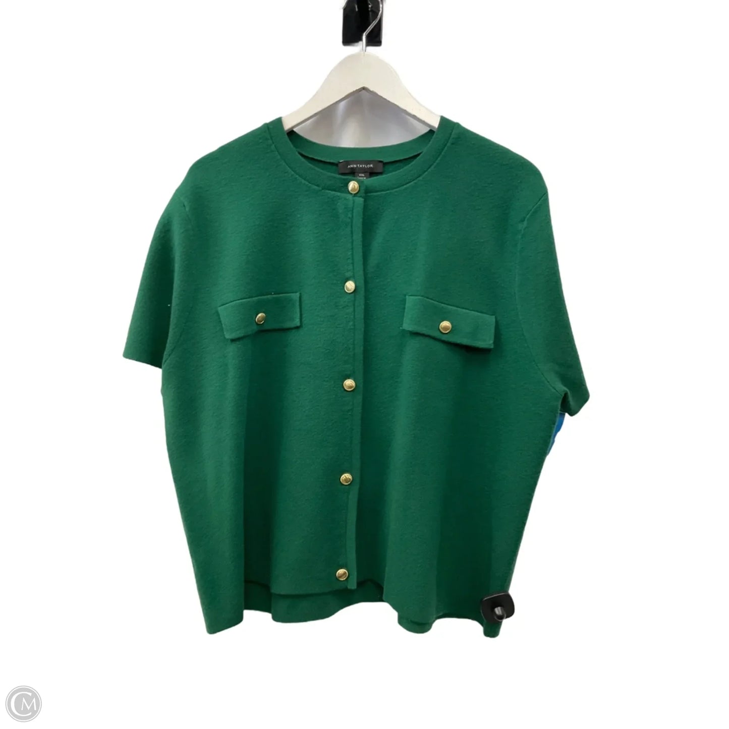 Sweater Short Sleeve By Ann Taylor In Green, Size: Xxl