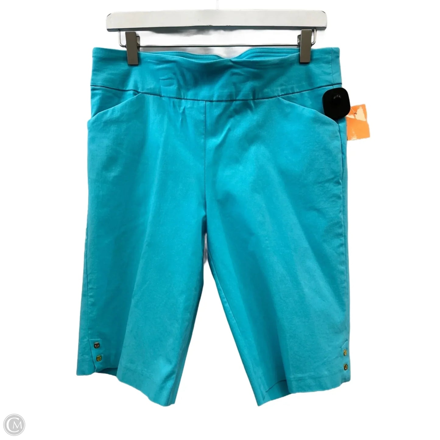 Shorts By Coral Bay In Aqua, Size: 12