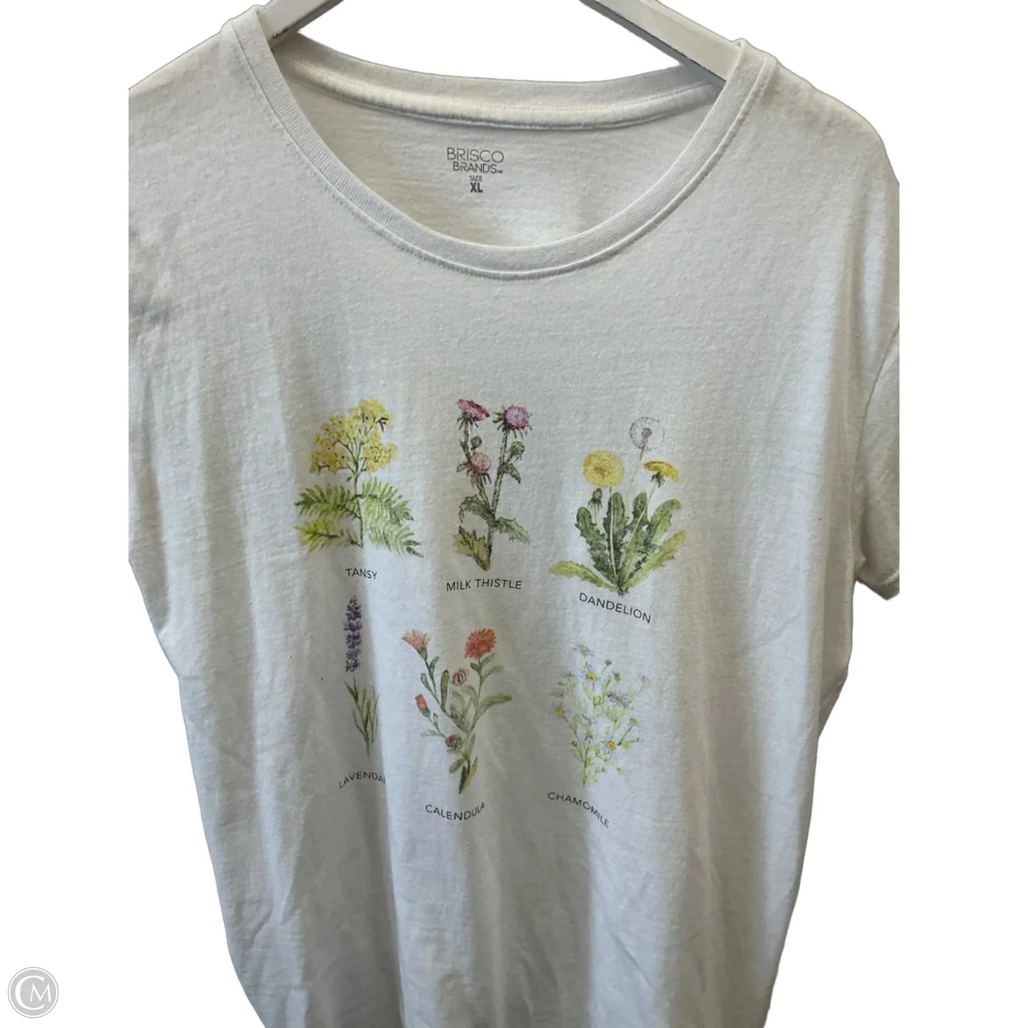 Top Short Sleeve By Clothes Mentor In White, Size: Xl