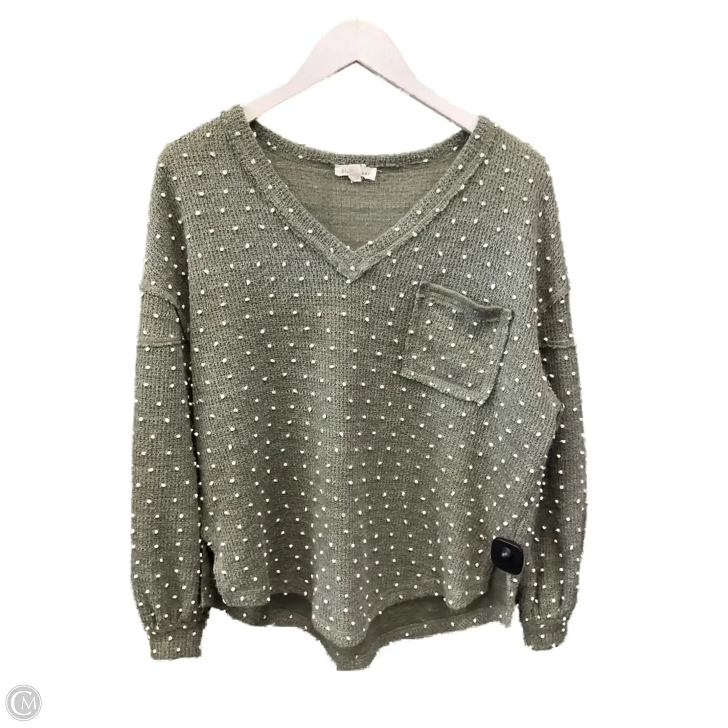 Top Long Sleeve By Blu Pepper In Green, Size: S