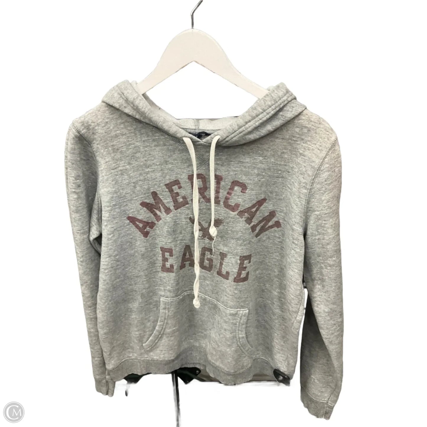 Sweatshirt Hoodie By American Eagle In Grey, Size: L
