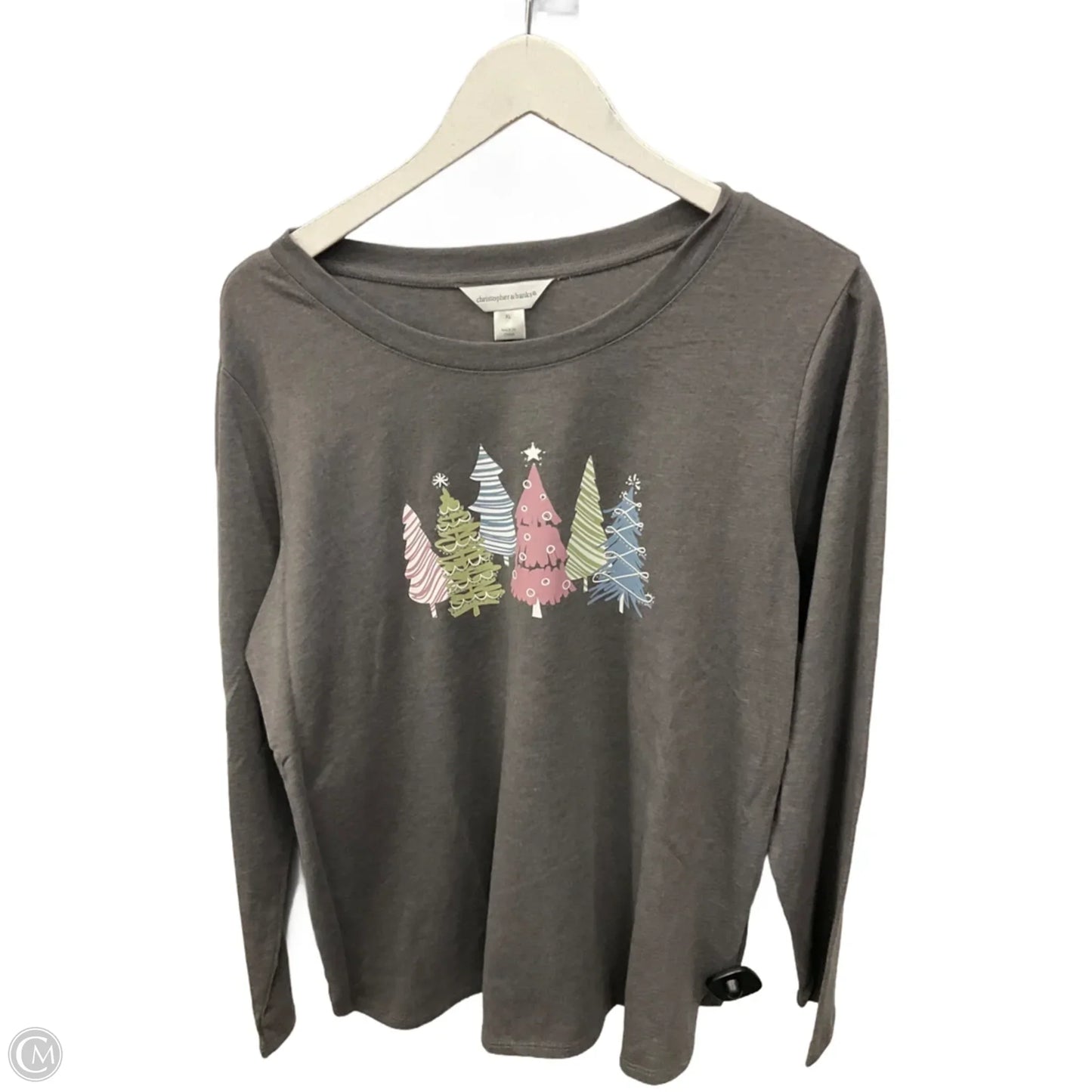 Top Long Sleeve By Christopher And Banks In Grey, Size: Xl