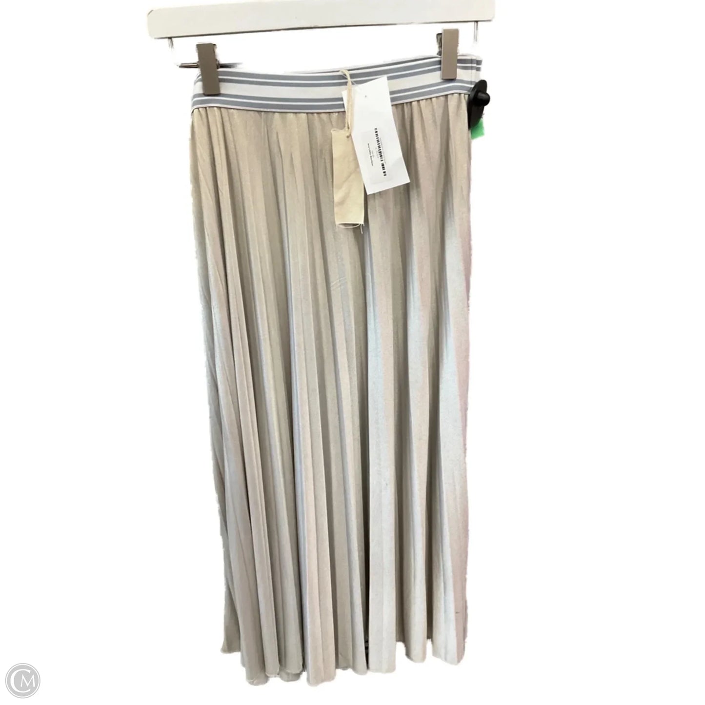 Skirt Maxi By Mystree In Silver, Size: S