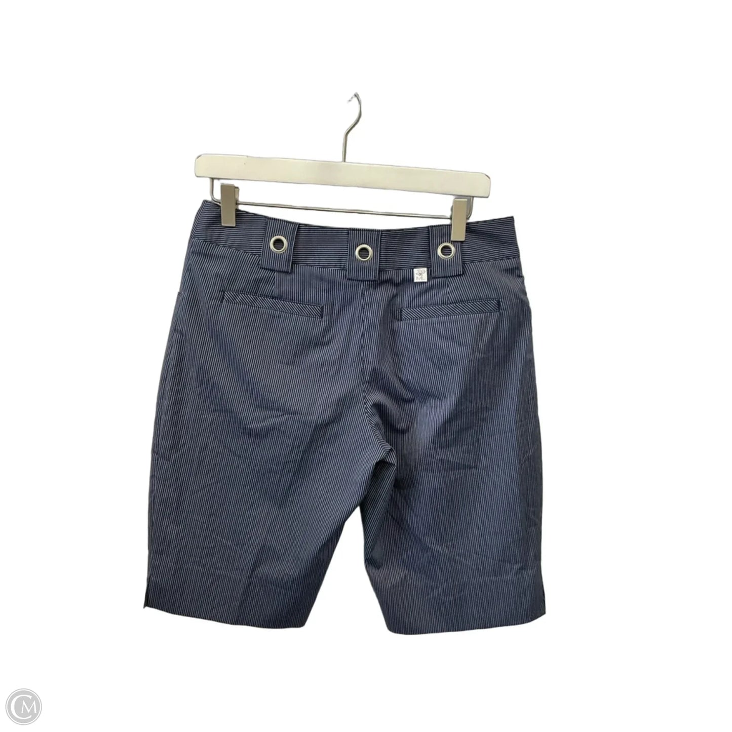 Shorts By Clothes Mentor In Blue, Size: 8