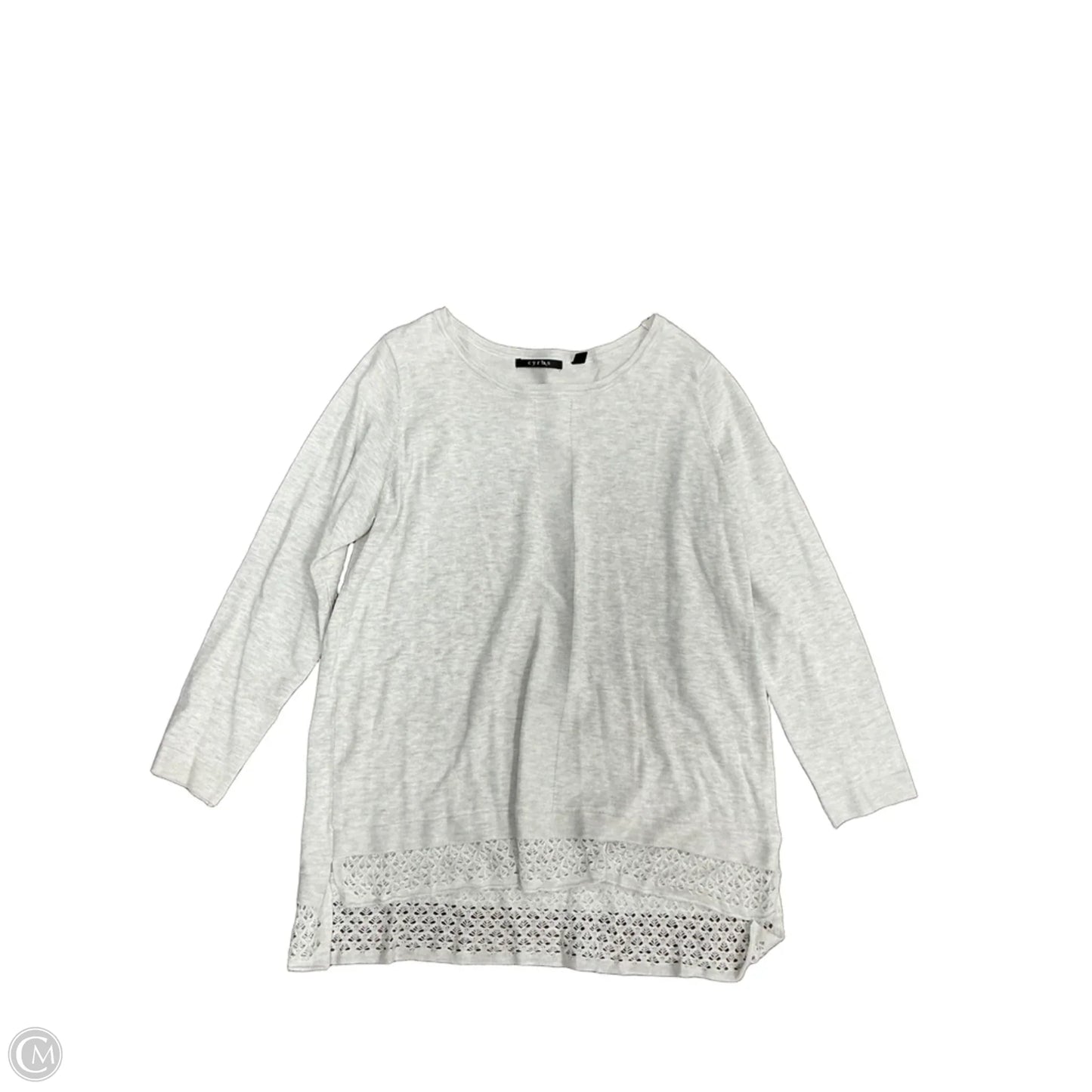 Top Long Sleeve By Cyrus In Grey, Size: 1x
