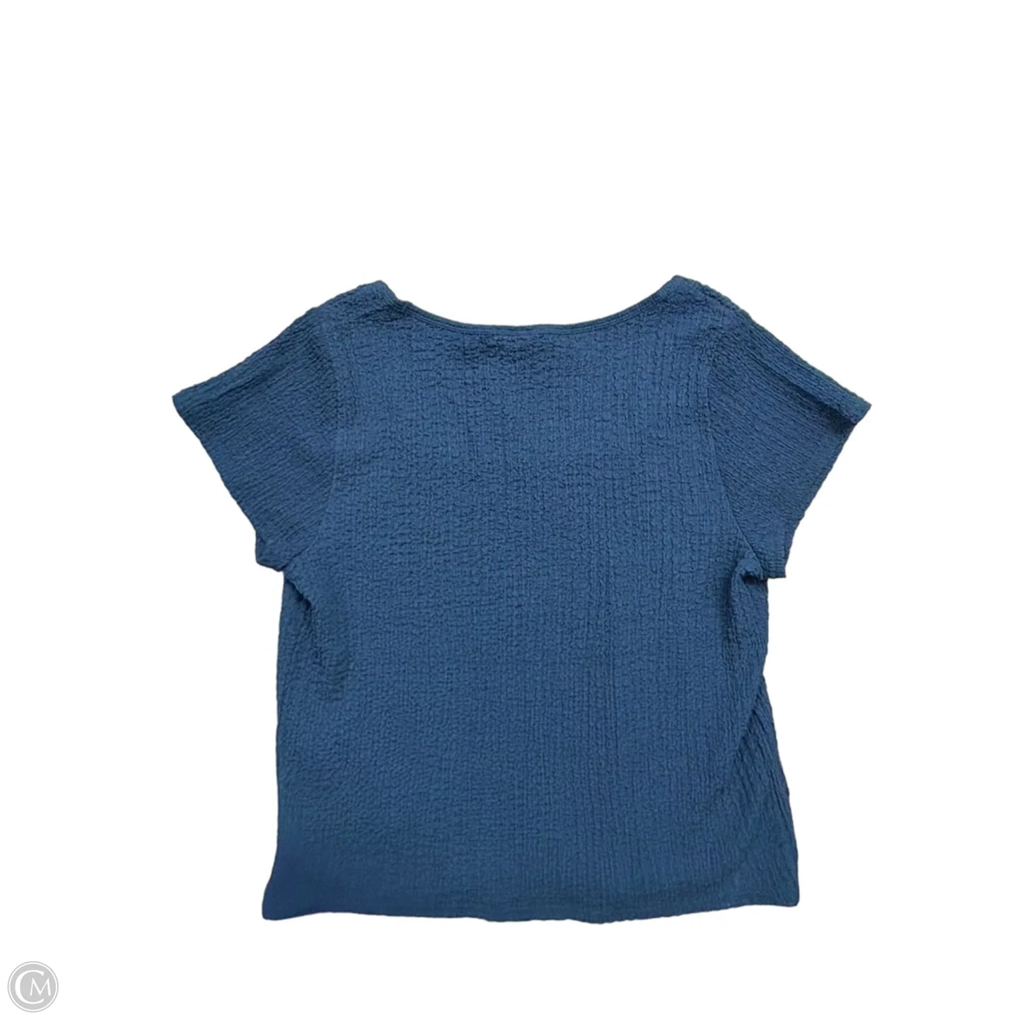 Top Short Sleeve By Old Navy In Blue, Size: 2x