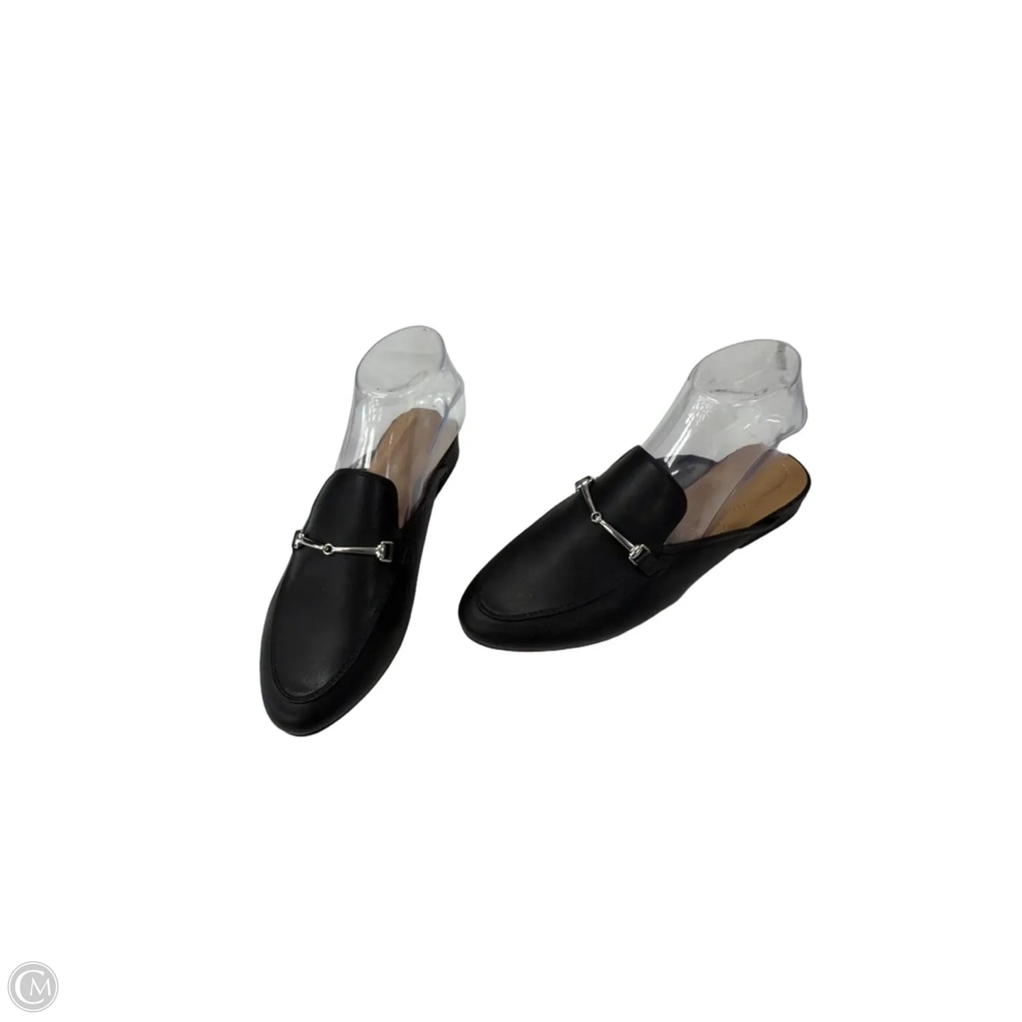 Sandals Flats By Rachel Zoe In Black, Size: 7.5