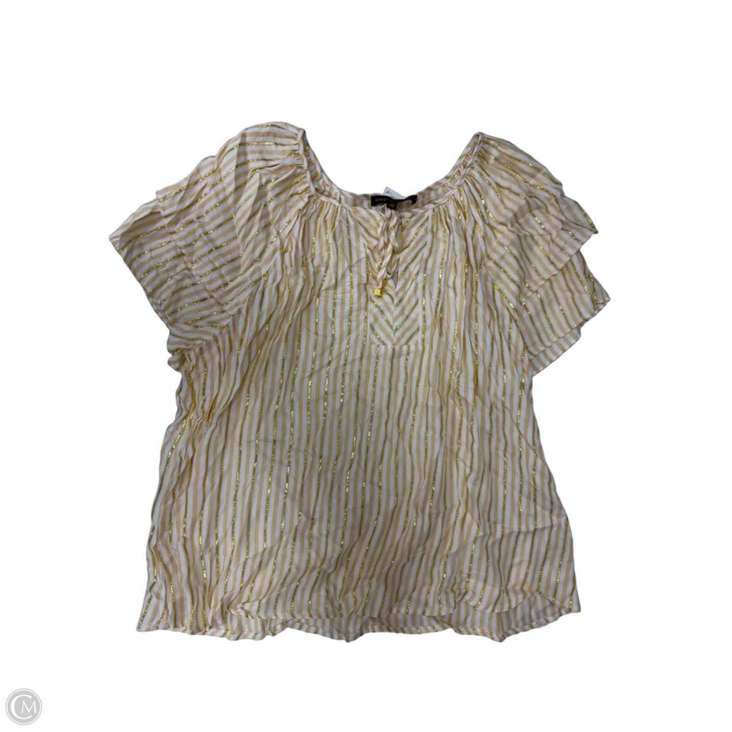 Top Short Sleeve By Adrienne Vittadini In Striped Pattern, Size: 2x