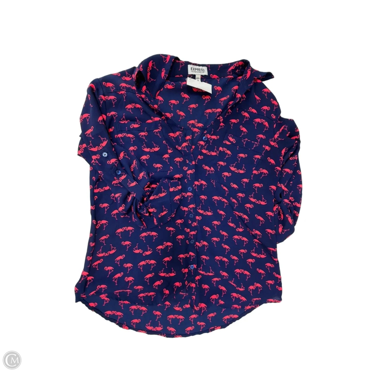 Top Long Sleeve By Express In Blue & Pink, Size: S
