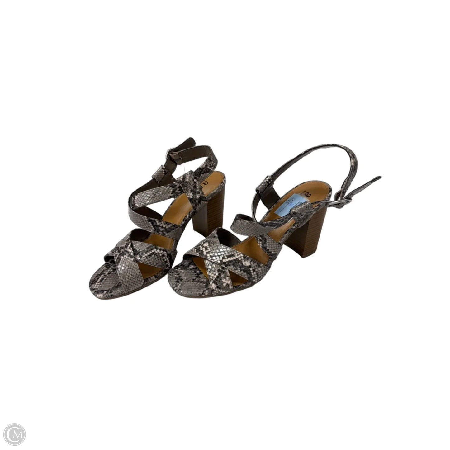Shoes Heels Block By Ana In Snakeskin Print, Size: 7.5