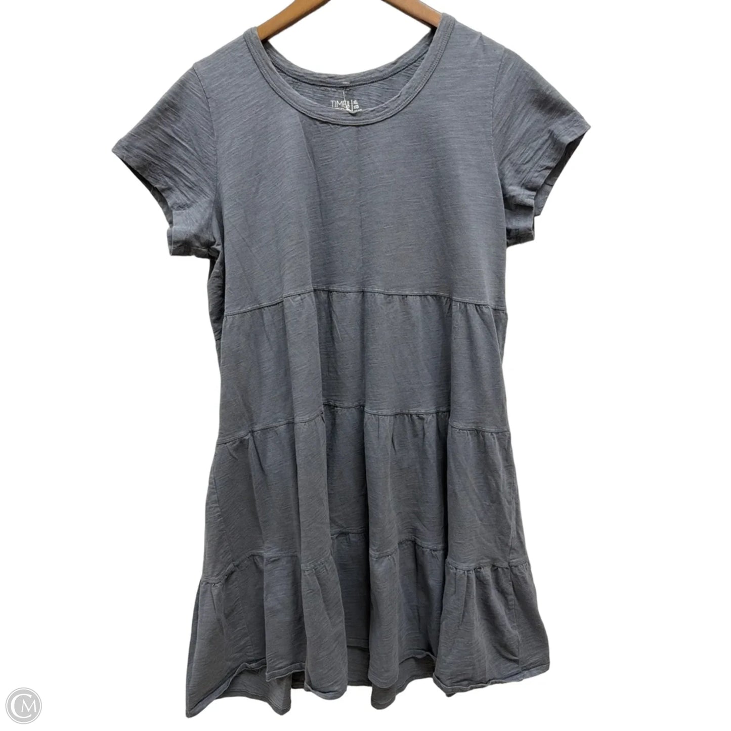 Dress Casual Short By Time And Tru In Blue, Size: Xl