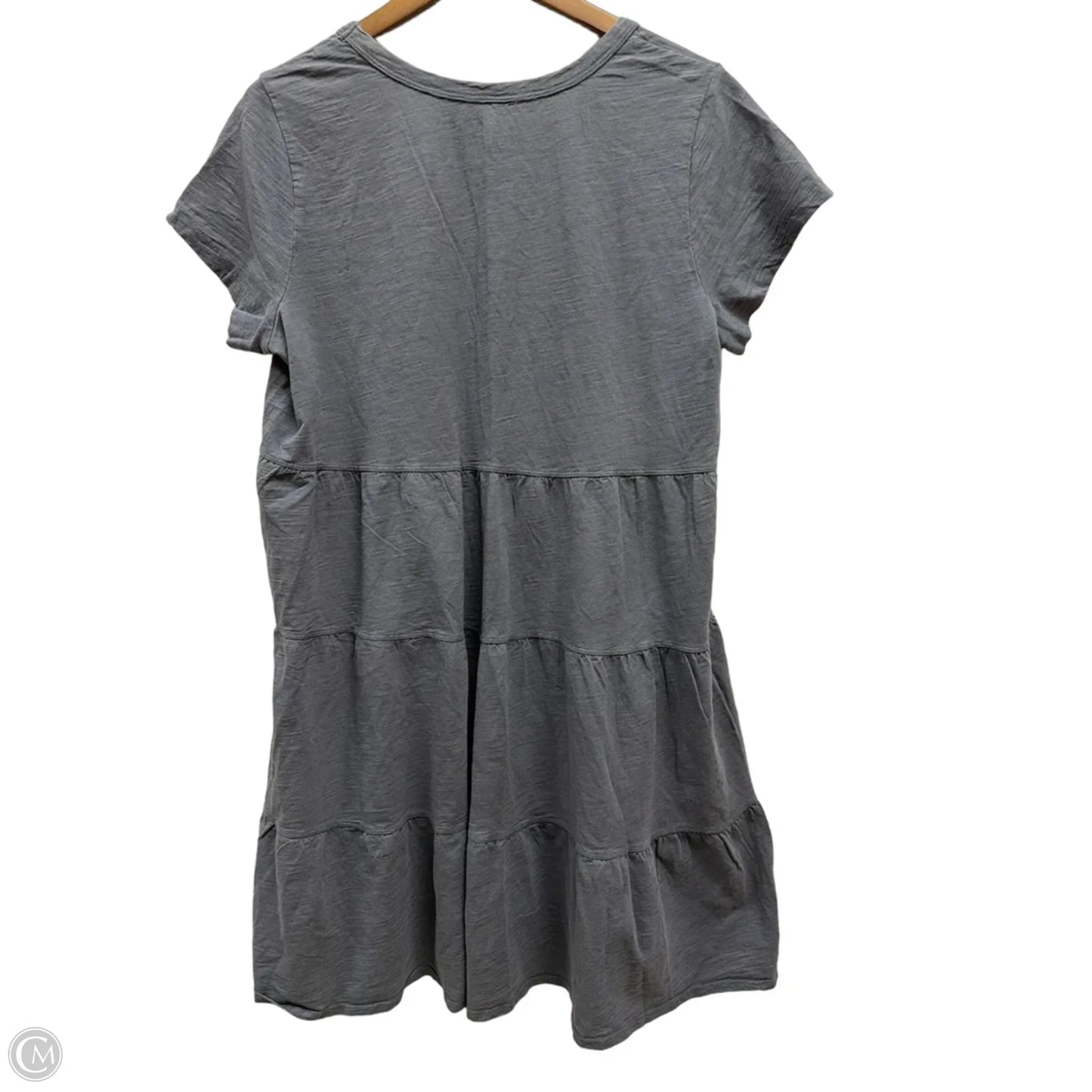 Dress Casual Short By Time And Tru In Blue, Size: Xl