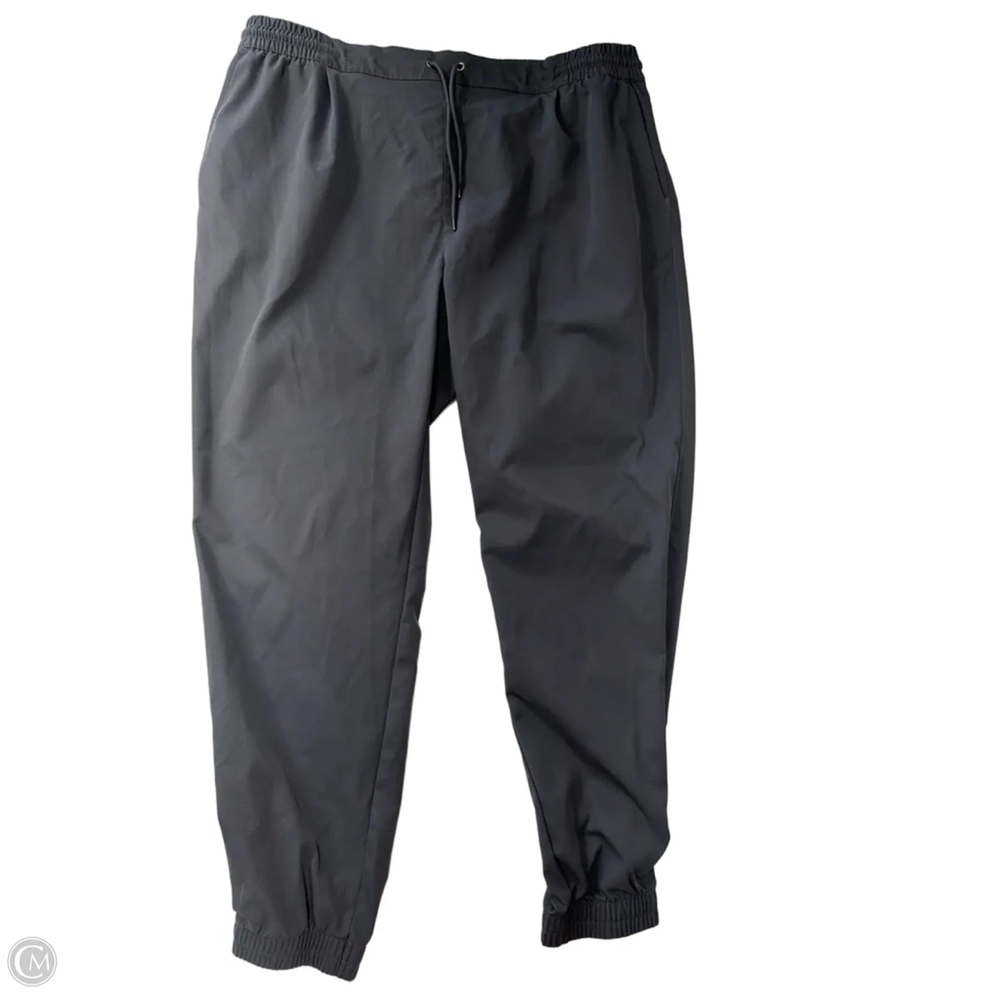 Athletic Pants By The North Face In Grey, Size: 22