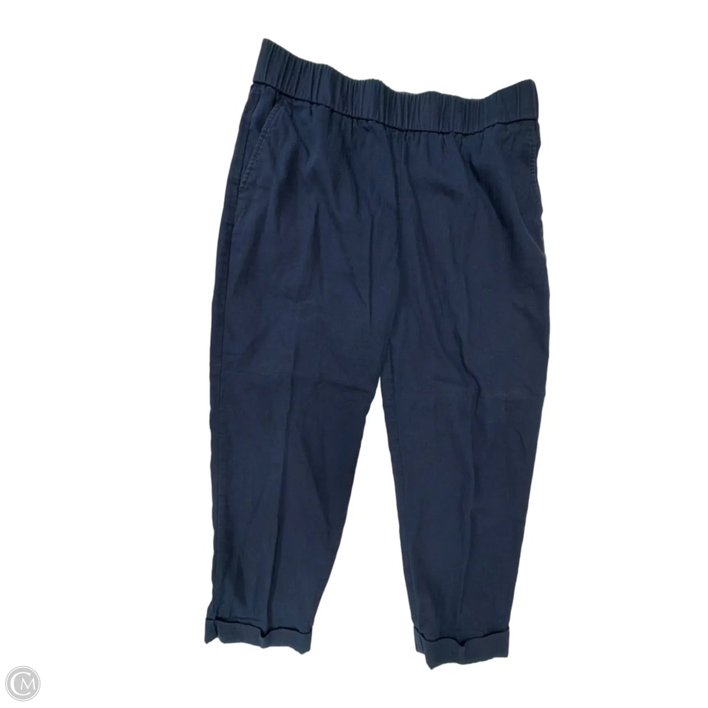Pants Other By Loft In Navy, Size: 12
