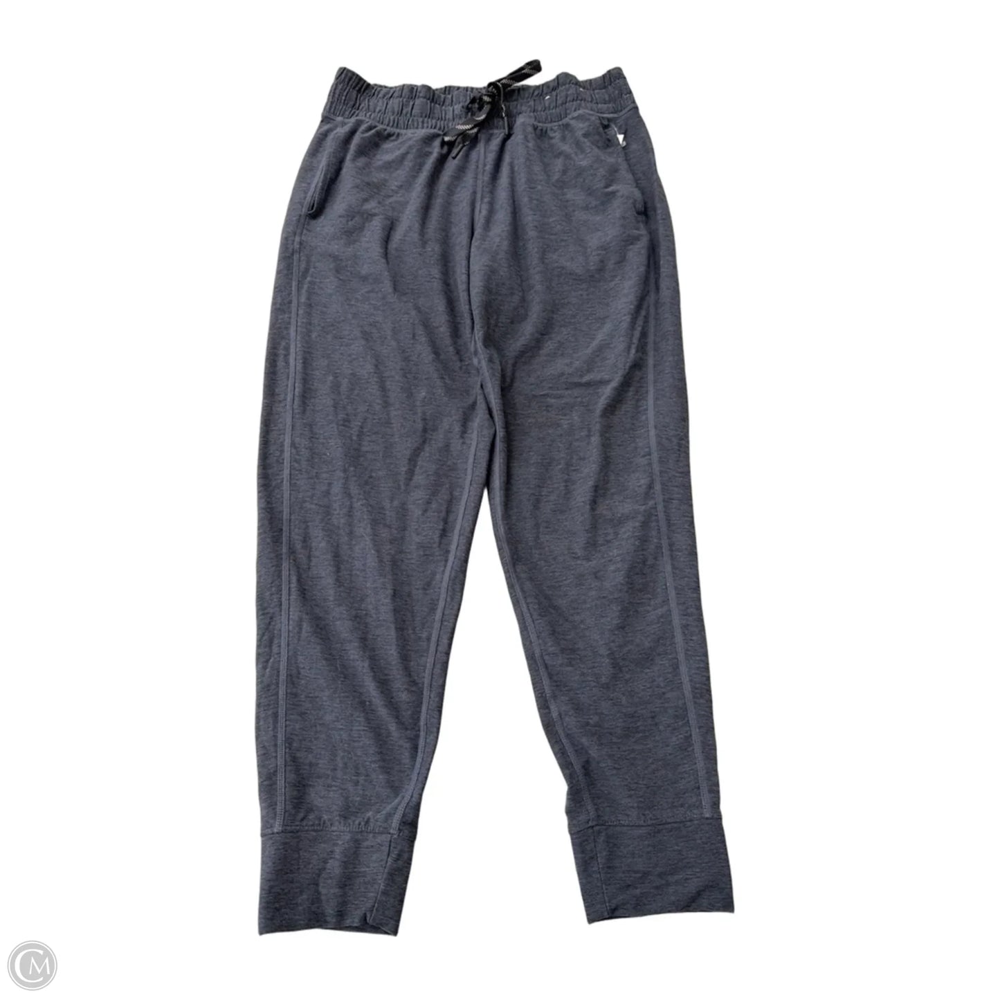 Athletic Pants By Flx In Blue, Size: M