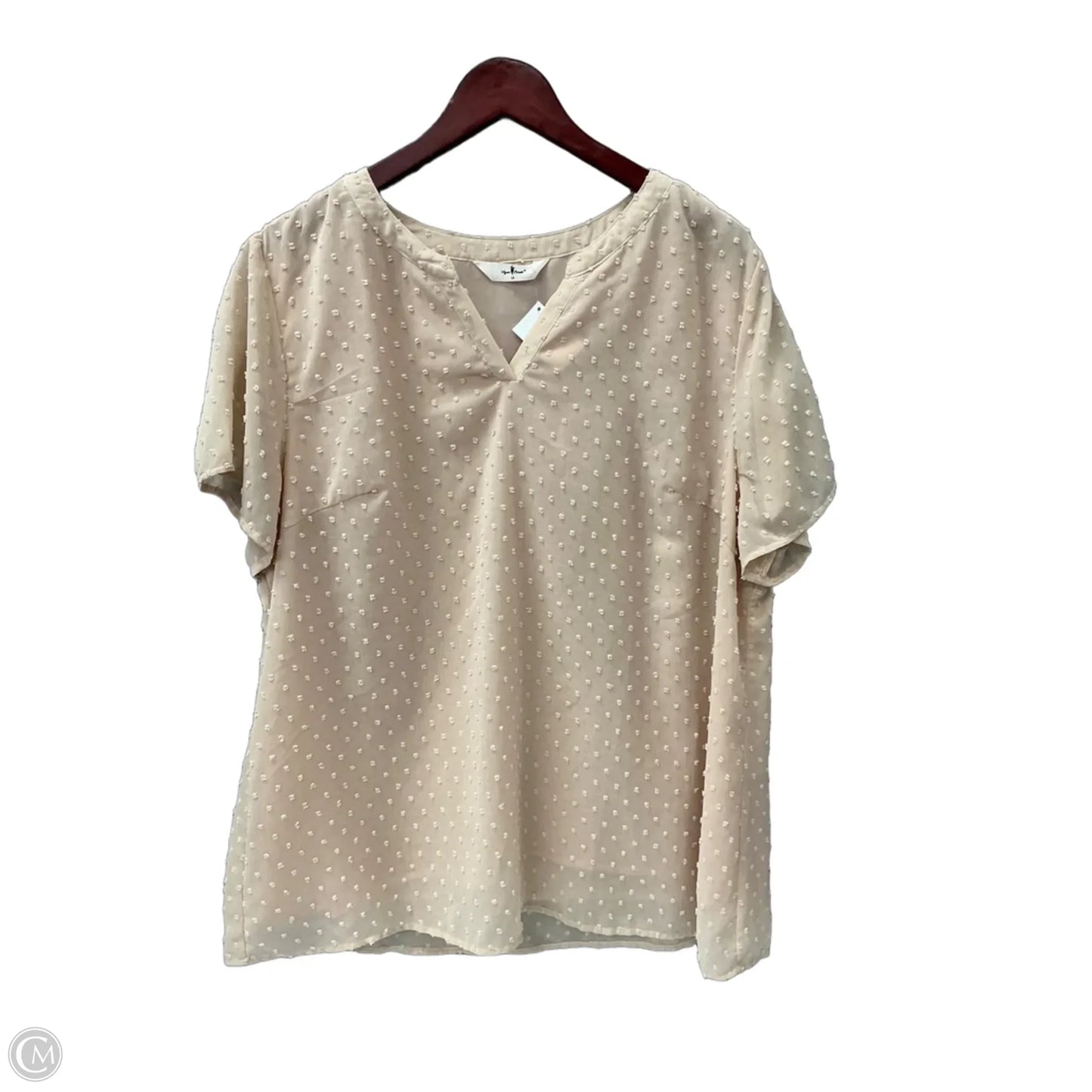 Top Short Sleeve By Agnes Orinda In Tan, Size: 1x