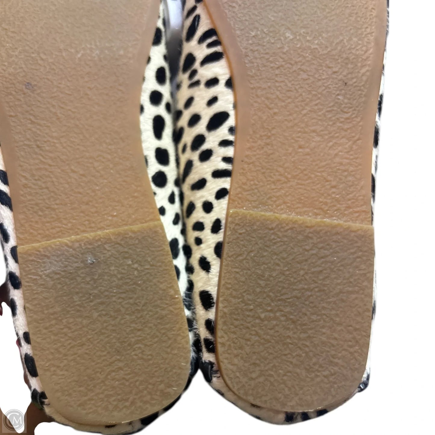 Shoes Flats By Jack Rogers In Animal Print, Size: 8