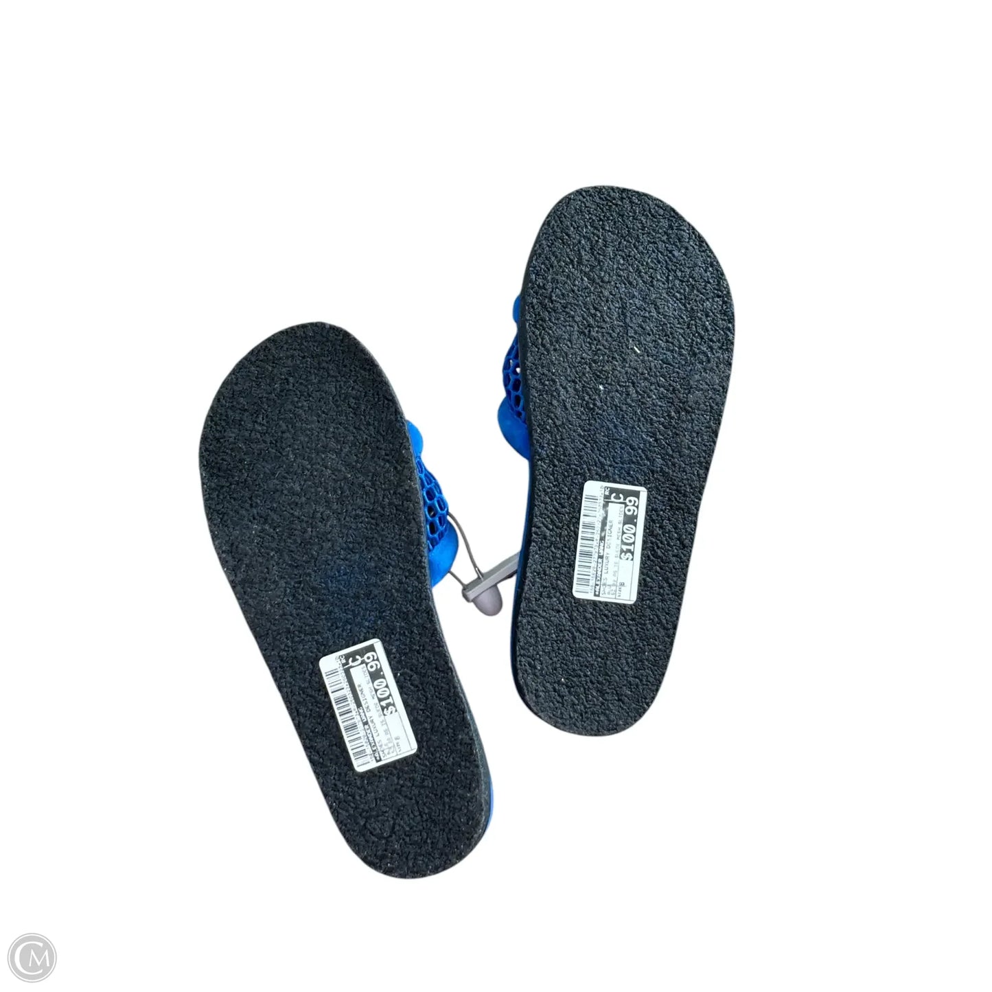 Shoes Luxury Designer By Alexander Wang In Blue, Size: 8