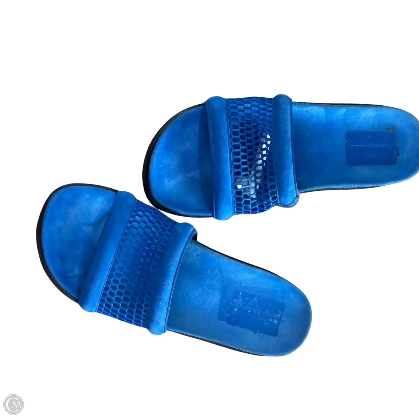 Shoes Luxury Designer By Alexander Wang In Blue, Size: 8