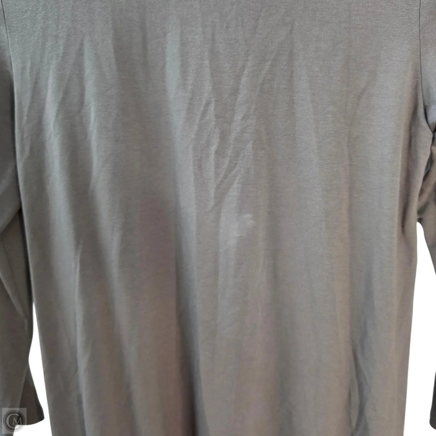 Top Long Sleeve Basic By Eileen Fisher In Taupe, Size: Sp