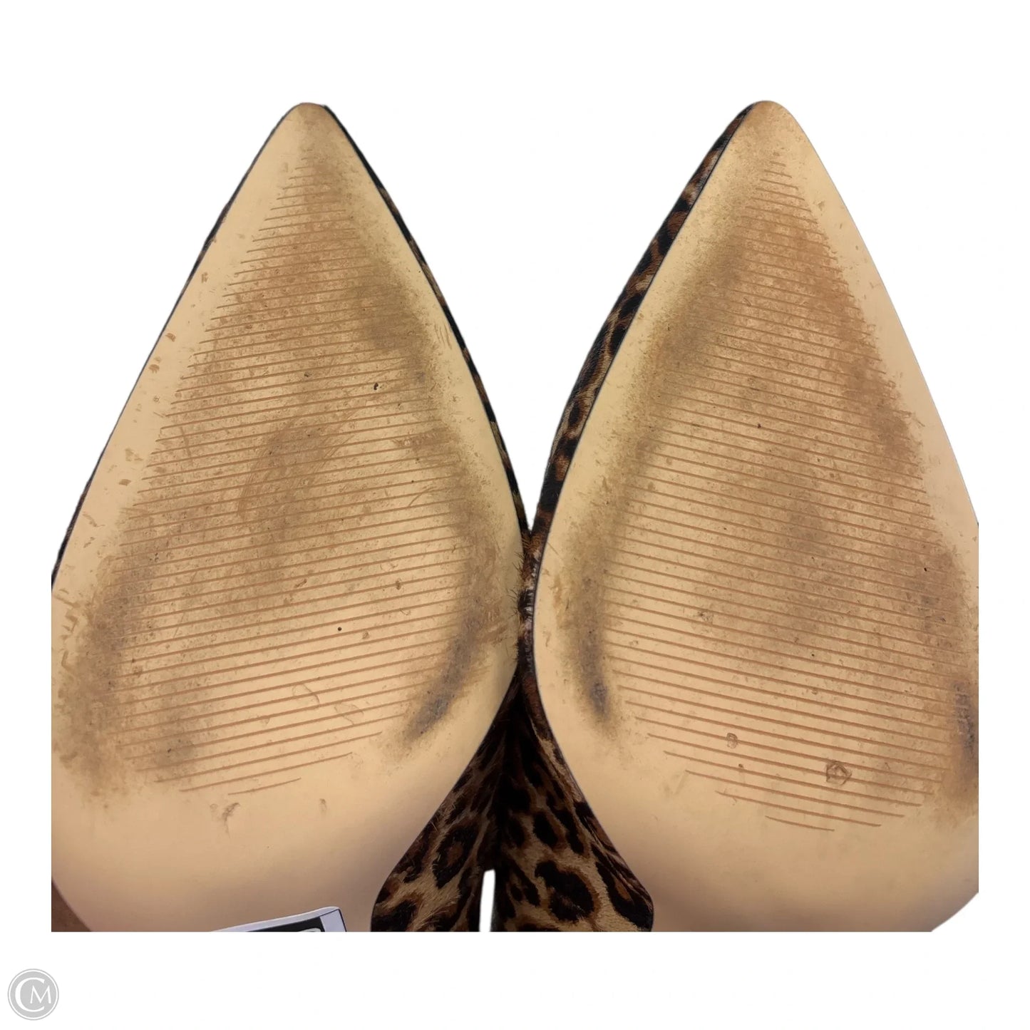 Shoes Heels Block By White House Black Market In Animal Print, Size: 8