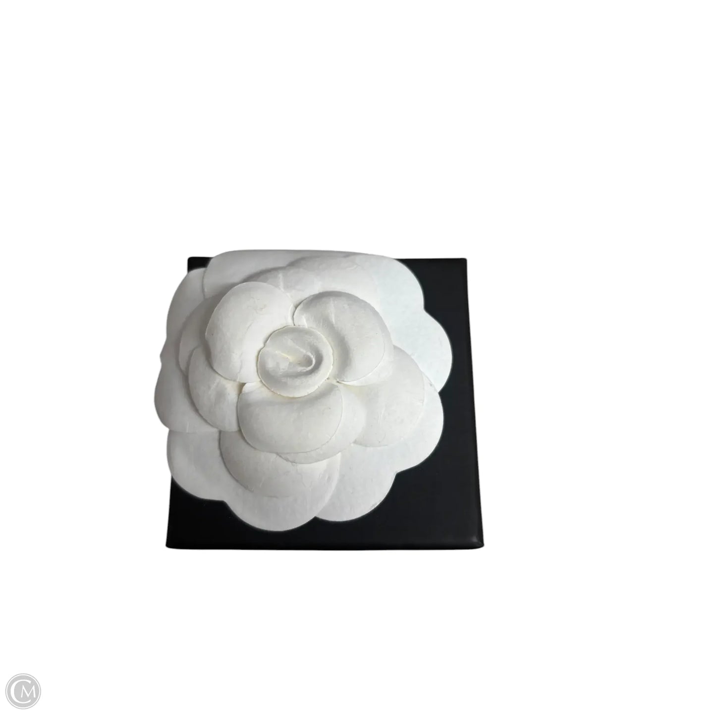 Earrings Luxury Designer By Chanel