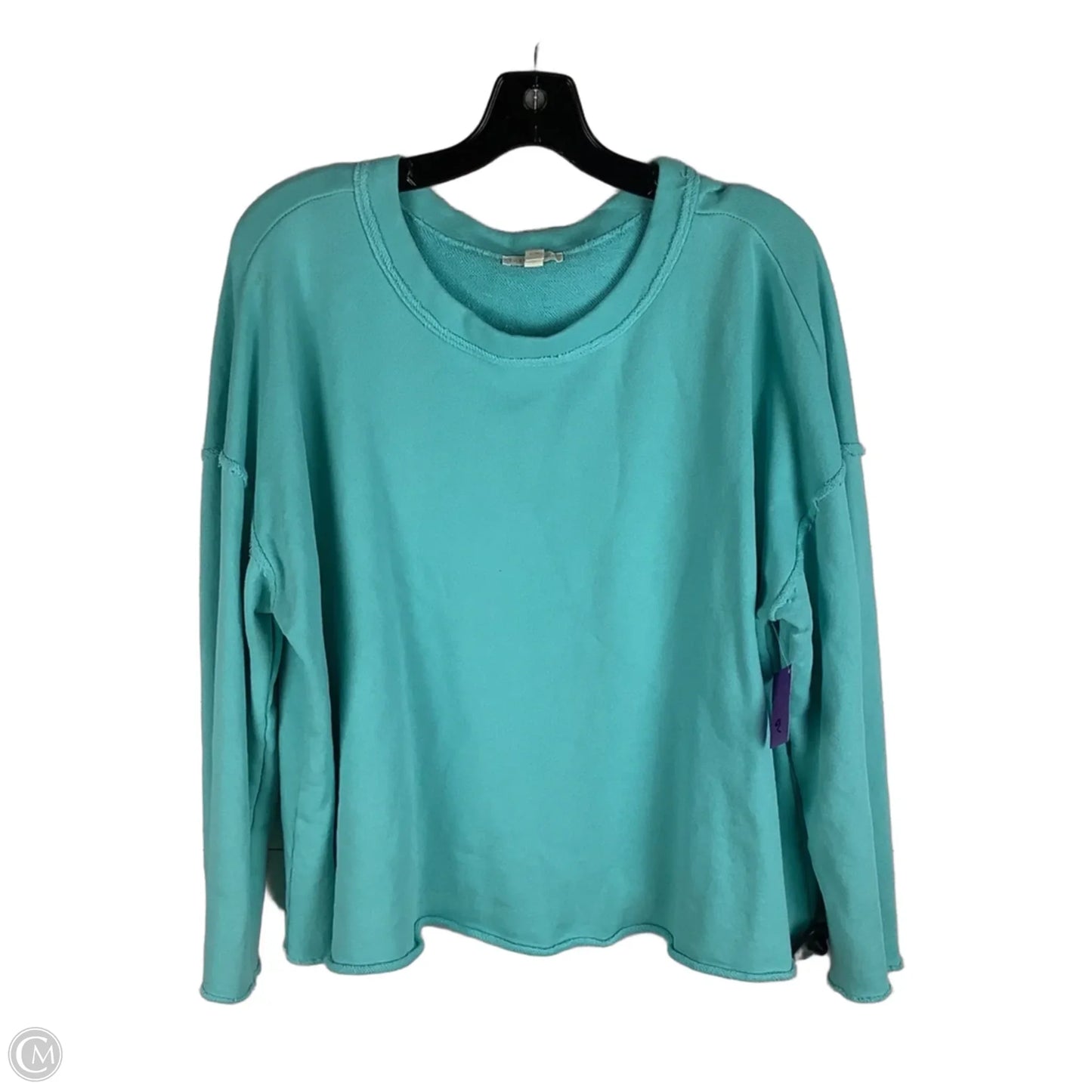 Sweatshirt Crewneck By Eileen Fisher In Blue, Size: Xl
