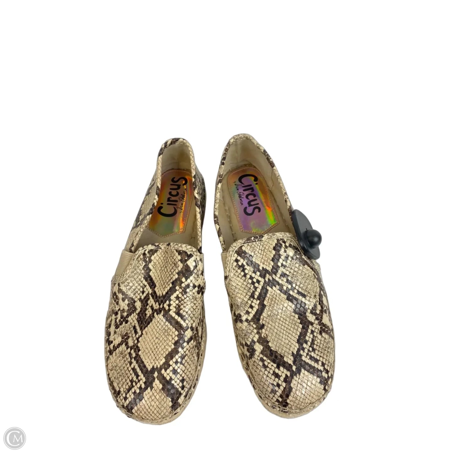 Shoes Flats By Circus By Sam Edelman In Snakeskin Print, Size: 8.5