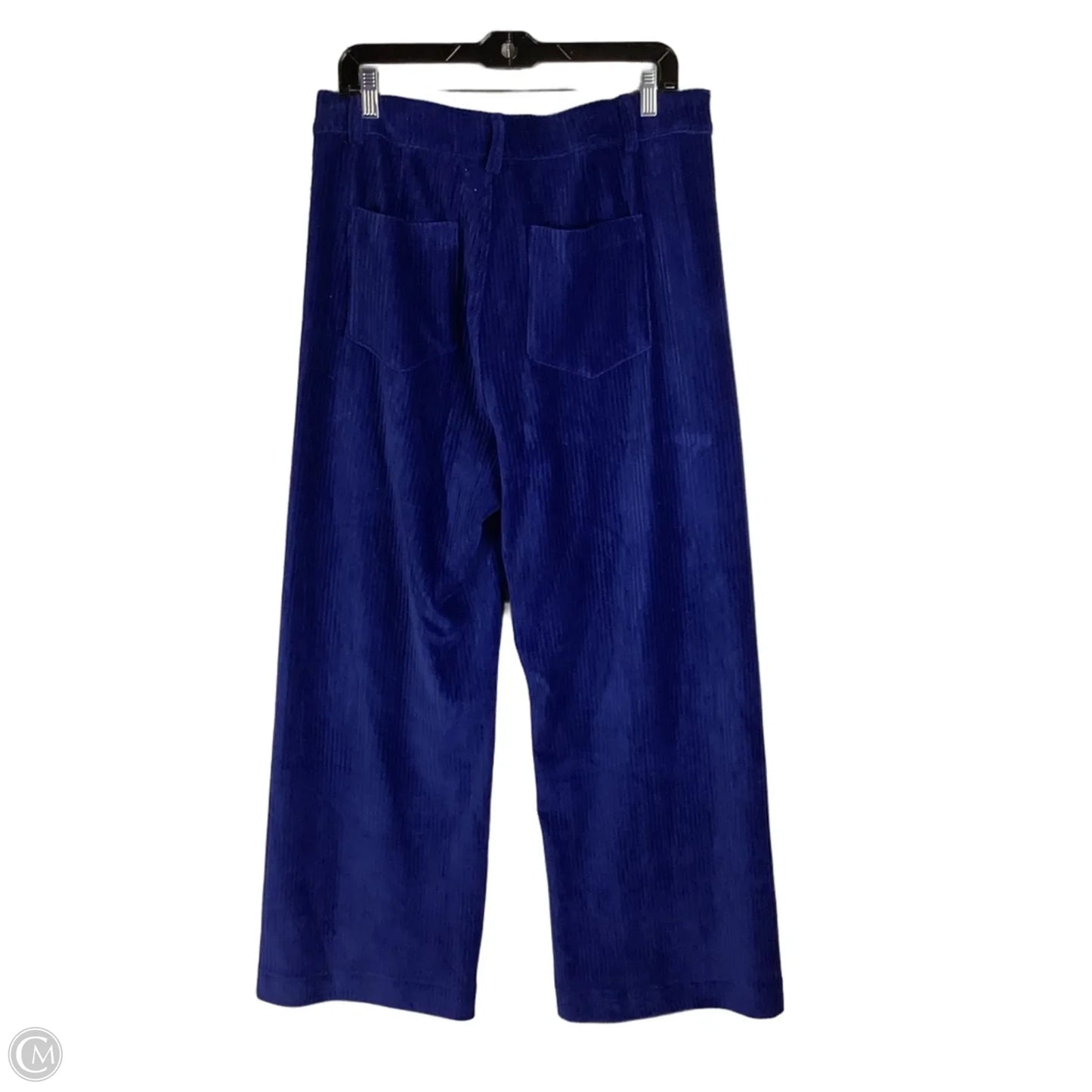 Pants By Z Supply In Blue, Size: L