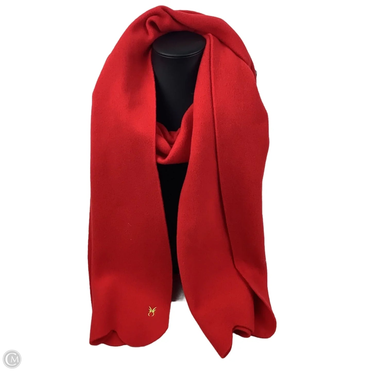 Scarf Long By Clothes Mentor