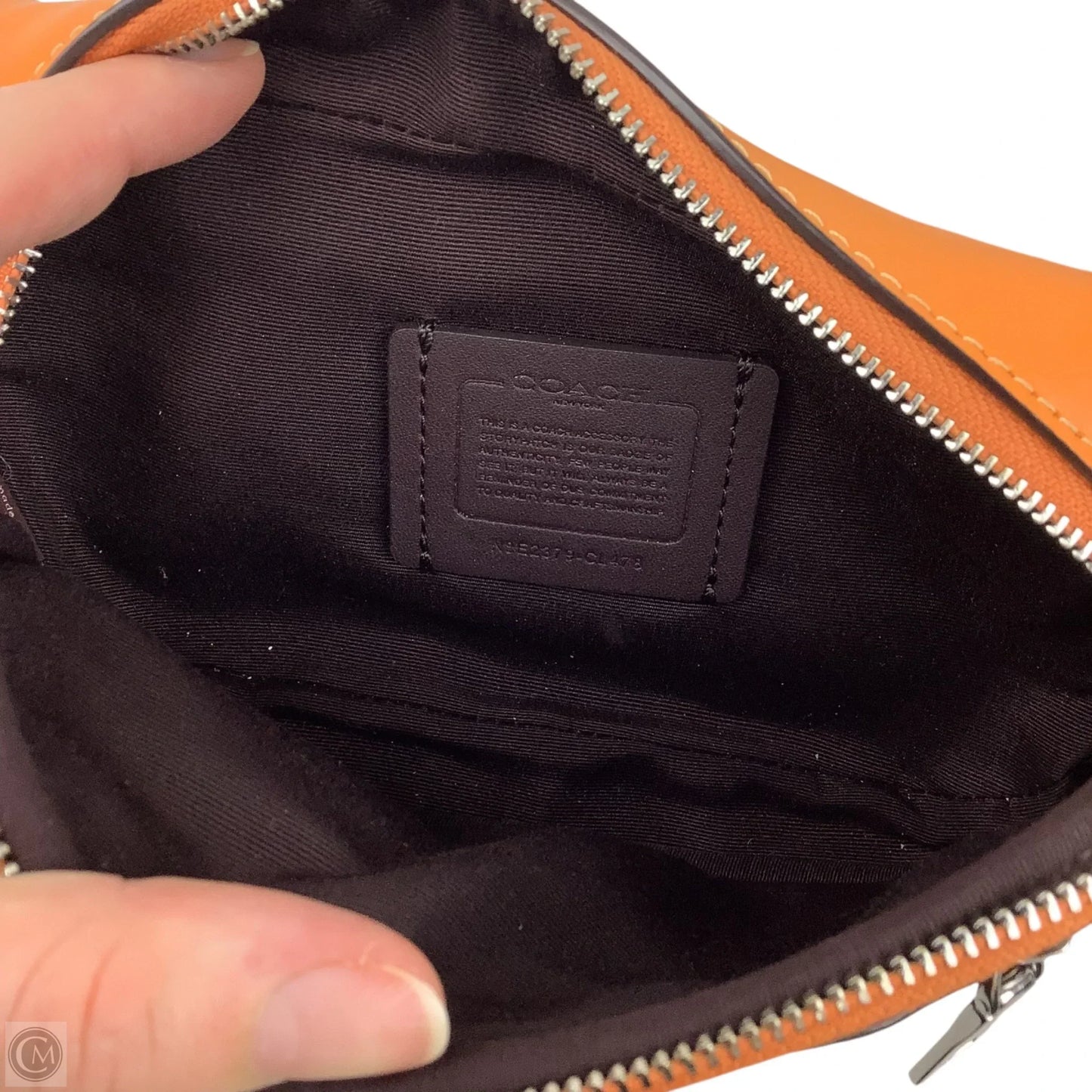 Belt Bag Designer By Coach, Size: Small