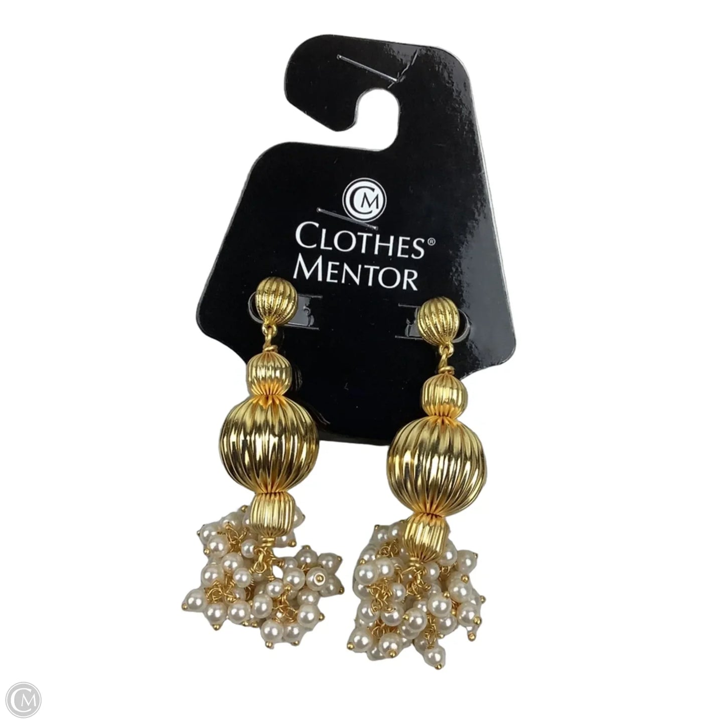 Earrings Dangle/drop By Clothes Mentor