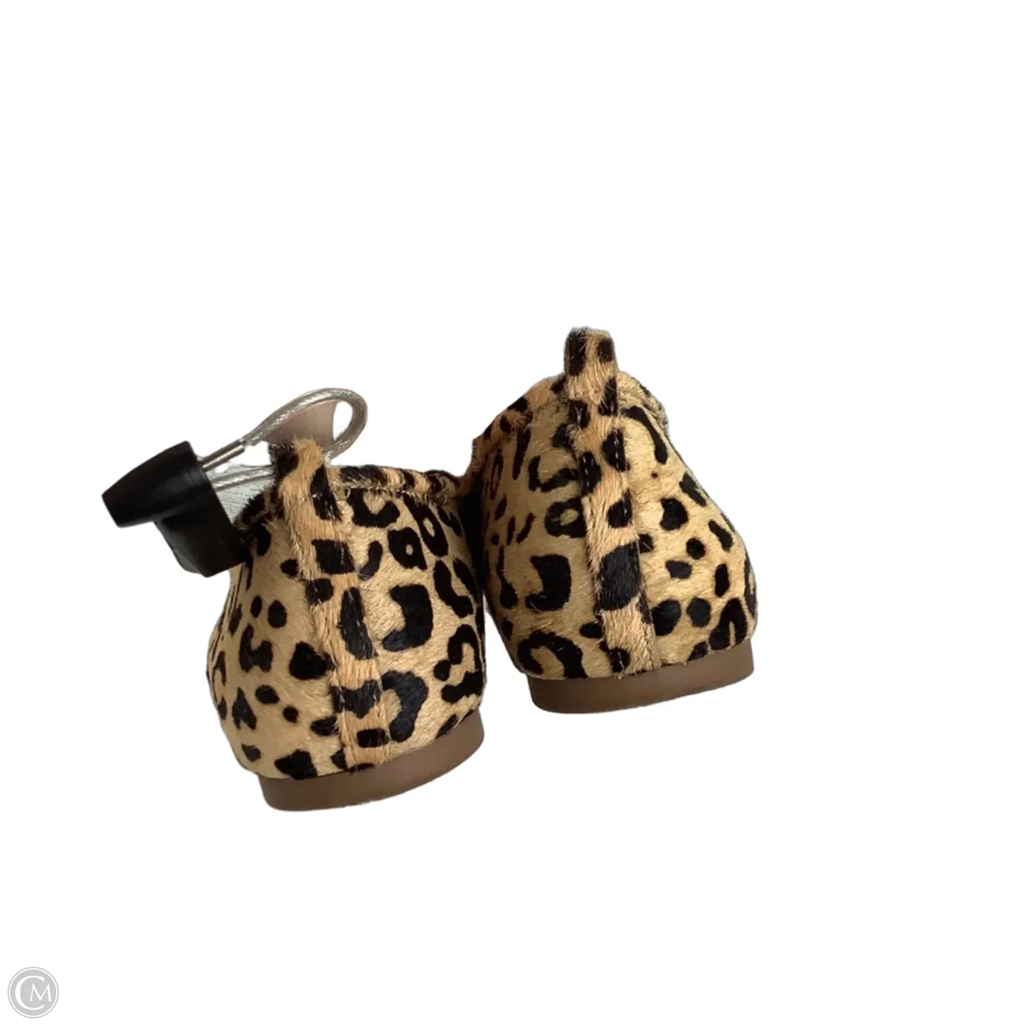 Shoes Flats By Aqua In Animal Print, Size: 10