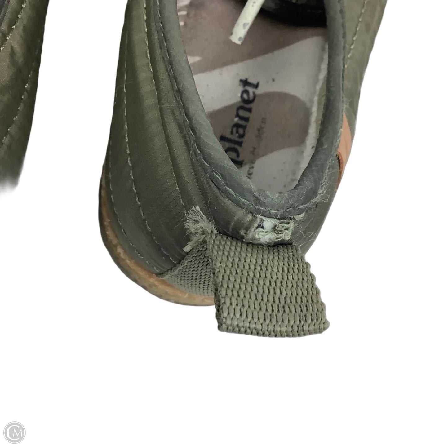 Shoes Sneakers By Steve Madden In Grey, Size: 6