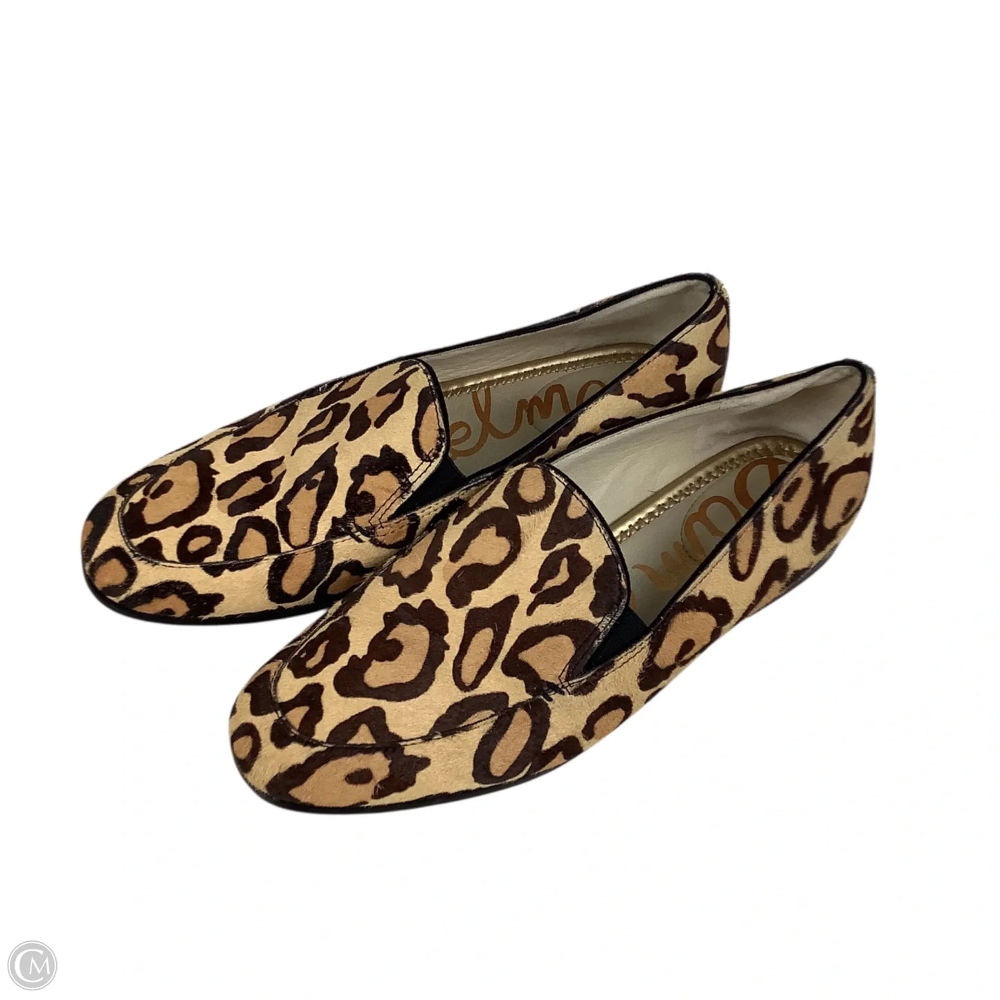 Shoes Flats By Sam Edelman In Leopard Print, Size: 6