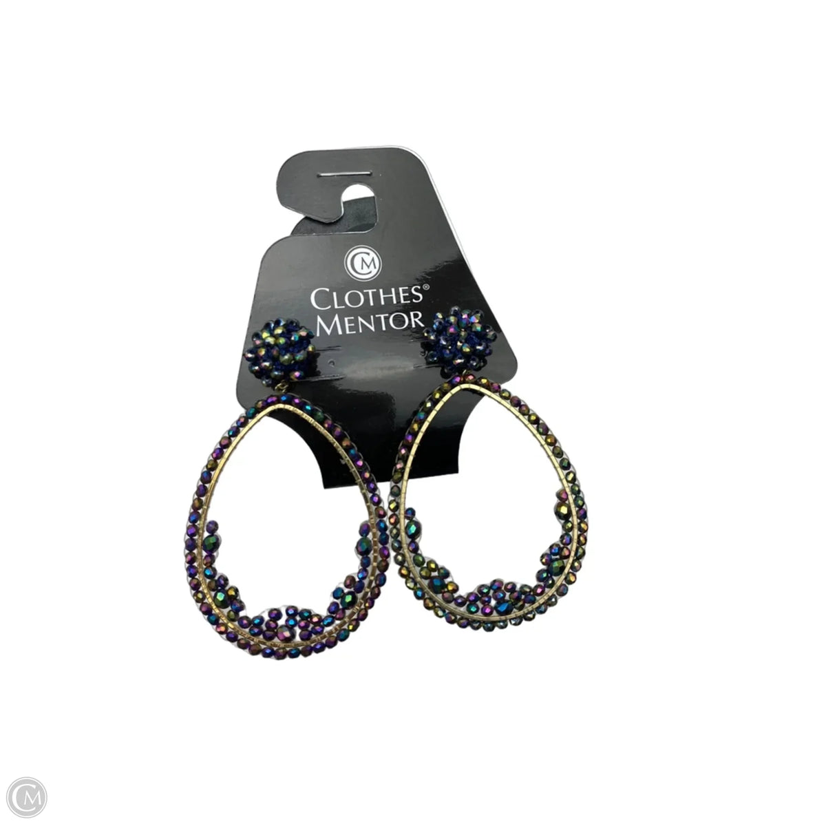 Earrings Dangle/drop By Clothes Mentor