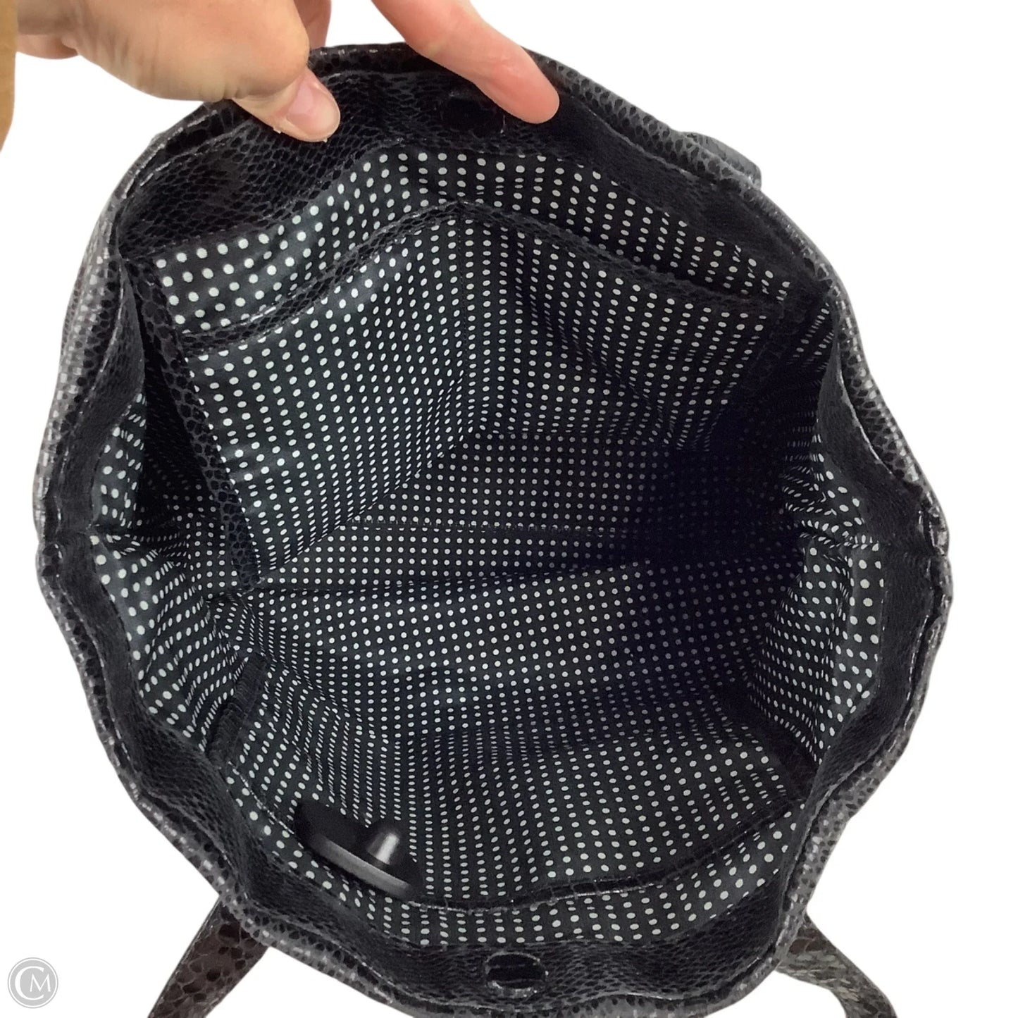 Handbag Designer By Kate Spade, Size: Medium