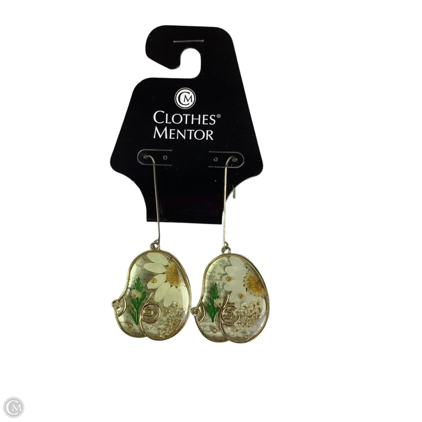 Earrings Dangle/drop By Clothes Mentor