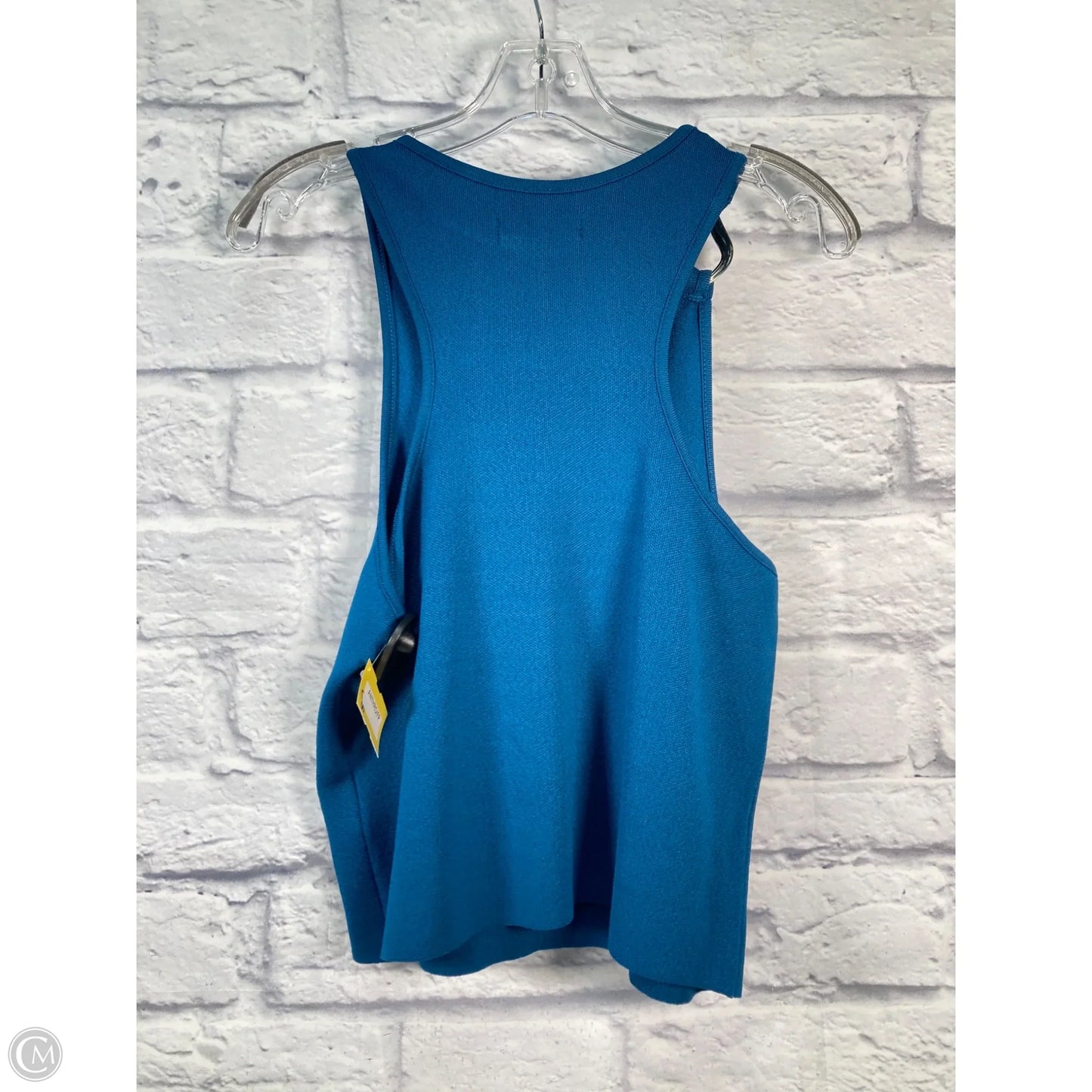 Top Sleeveless By Anthropologie In Blue & Silver, Size: L