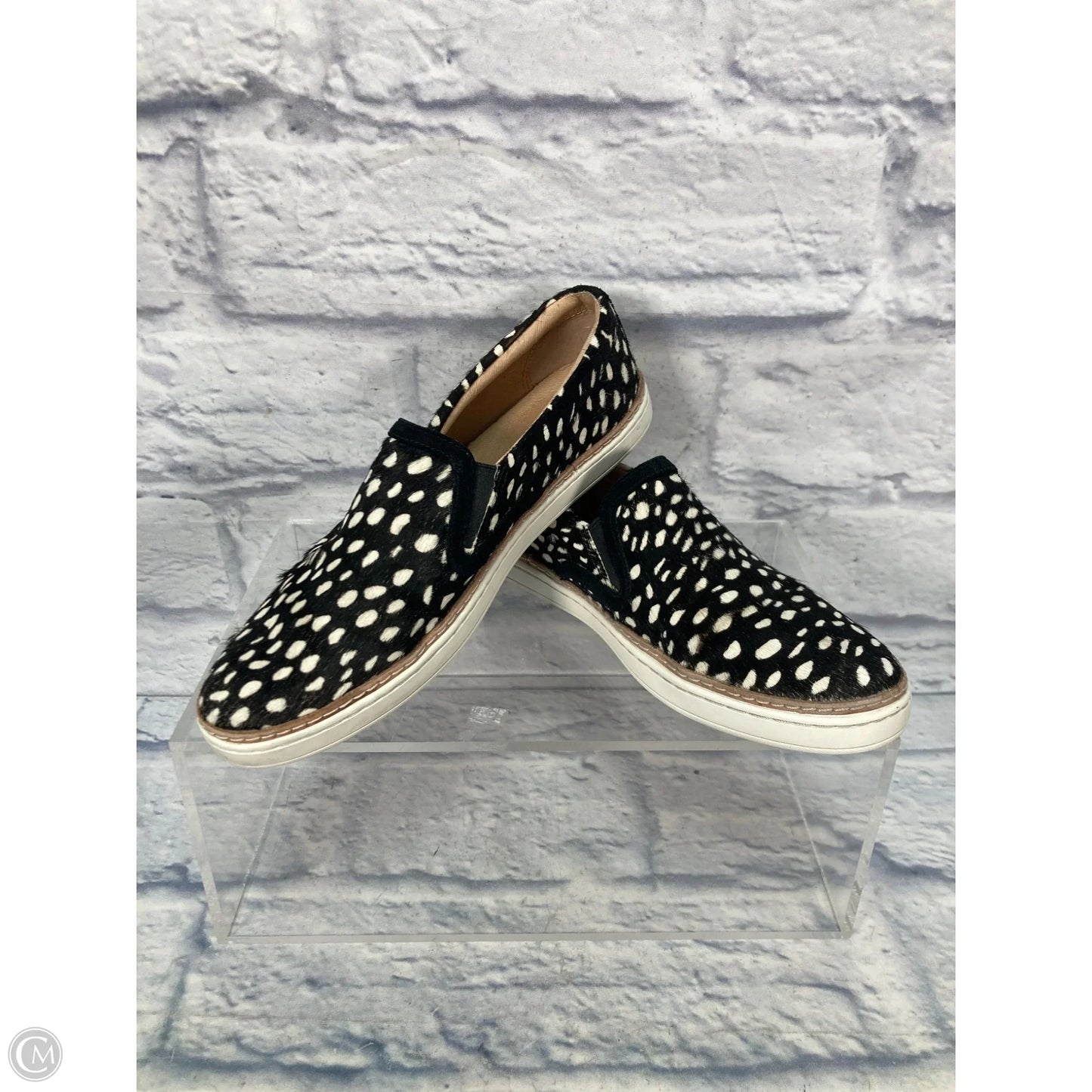 Shoes Designer By Ugg In Animal Print, Size: 8