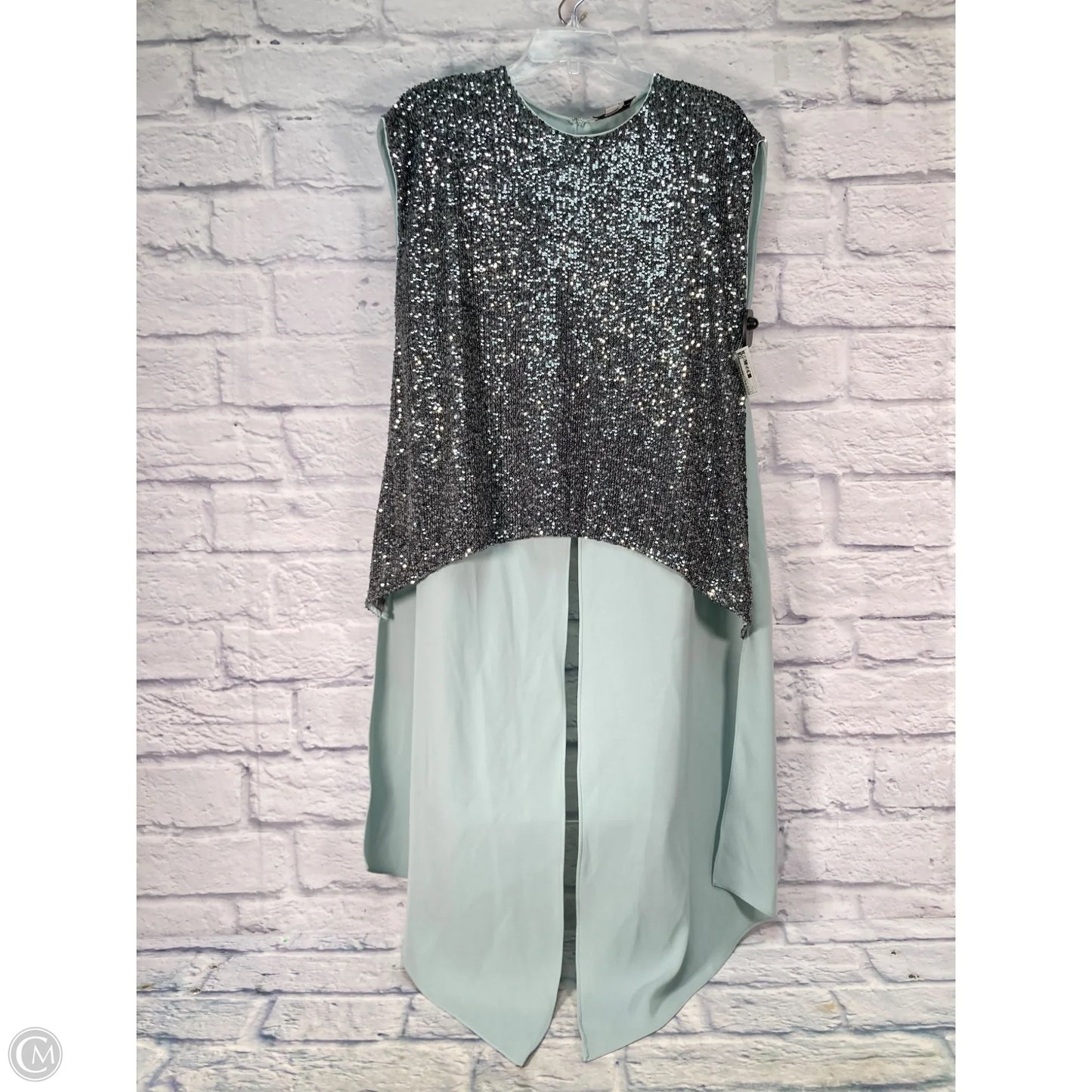 Blouse Sleeveless By Sachin & Babi In Blue & Silver, Size: L