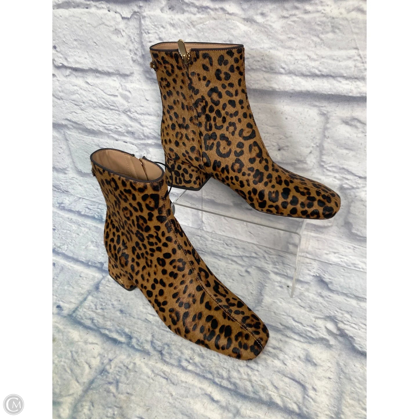 Boots Ankle Heels By Sam Edelman In Animal Print, Size: 7.5