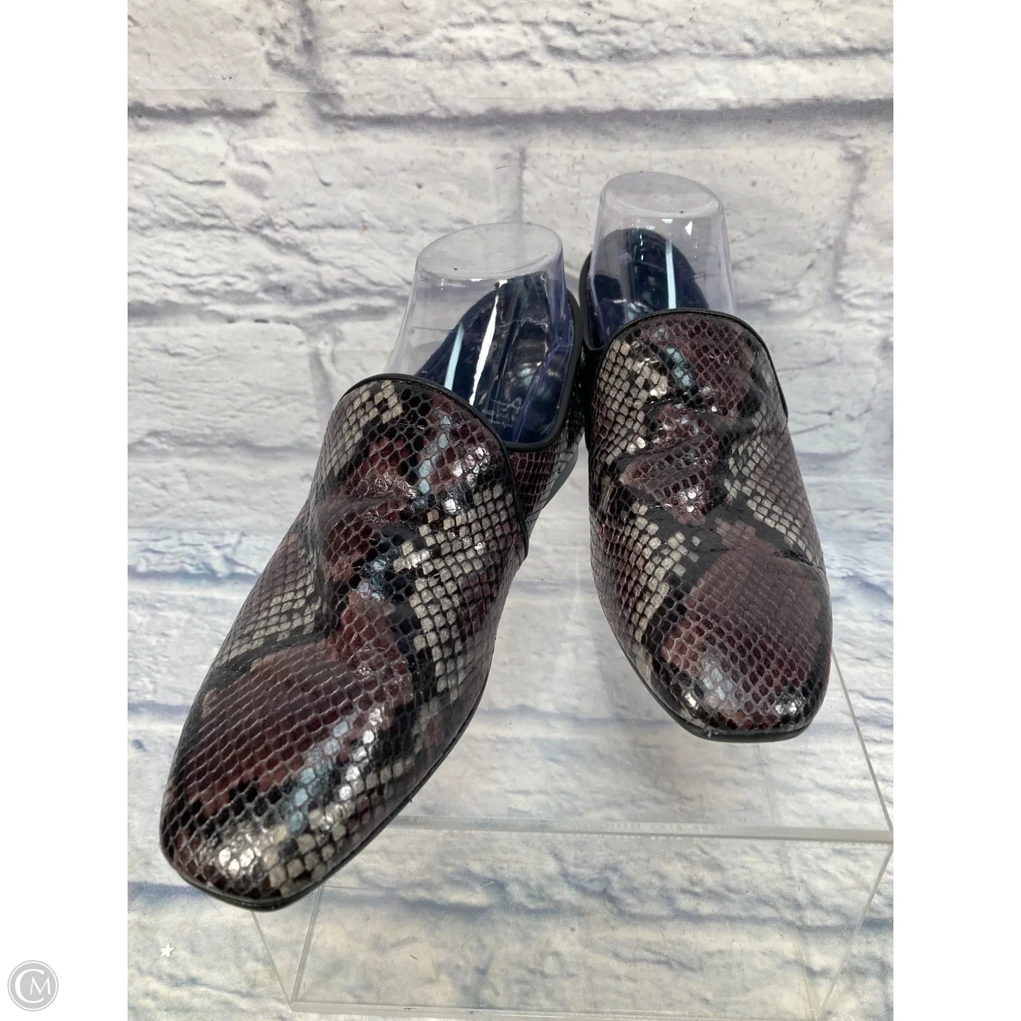 Shoes Flats By Aquatalia In Snakeskin Print, Size: 9