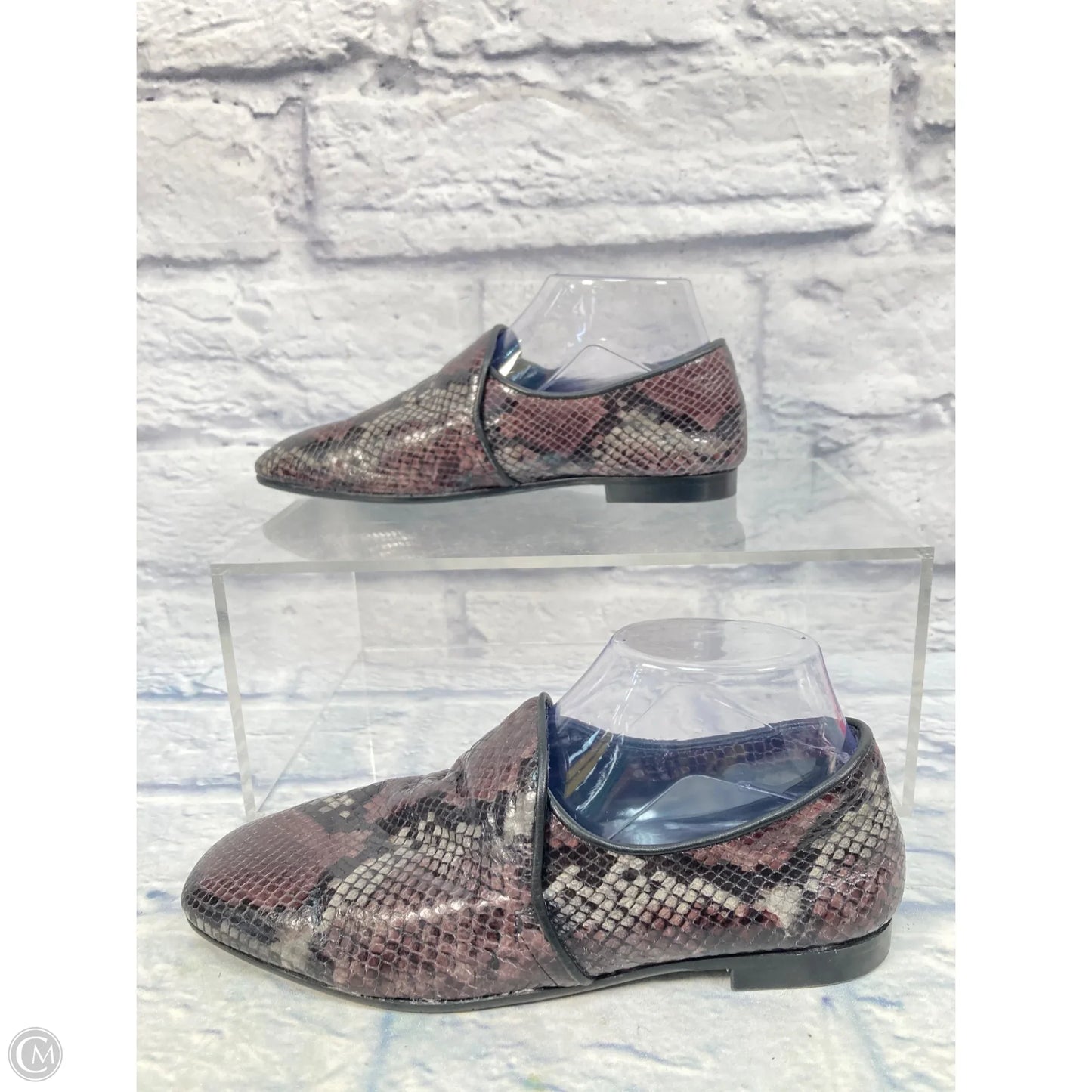 Shoes Flats By Aquatalia In Snakeskin Print, Size: 9