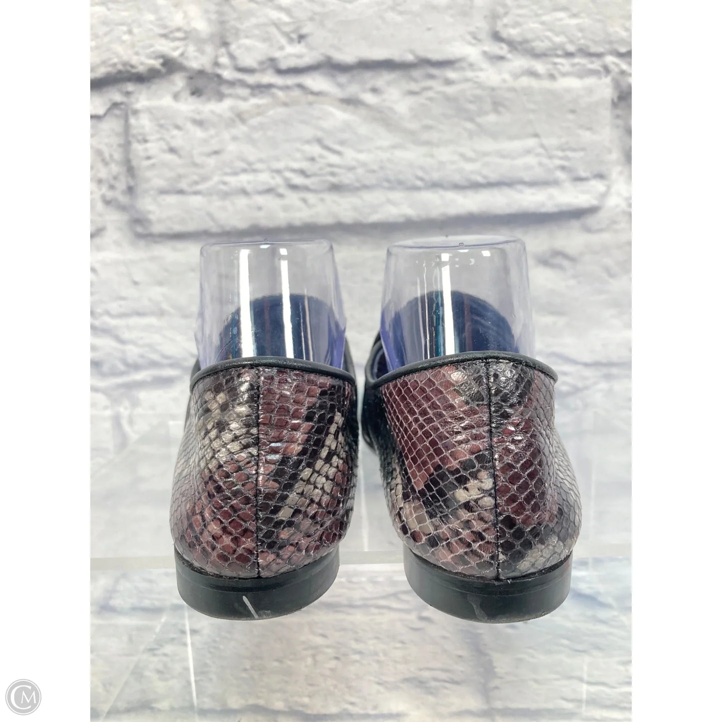 Shoes Flats By Aquatalia In Snakeskin Print, Size: 9