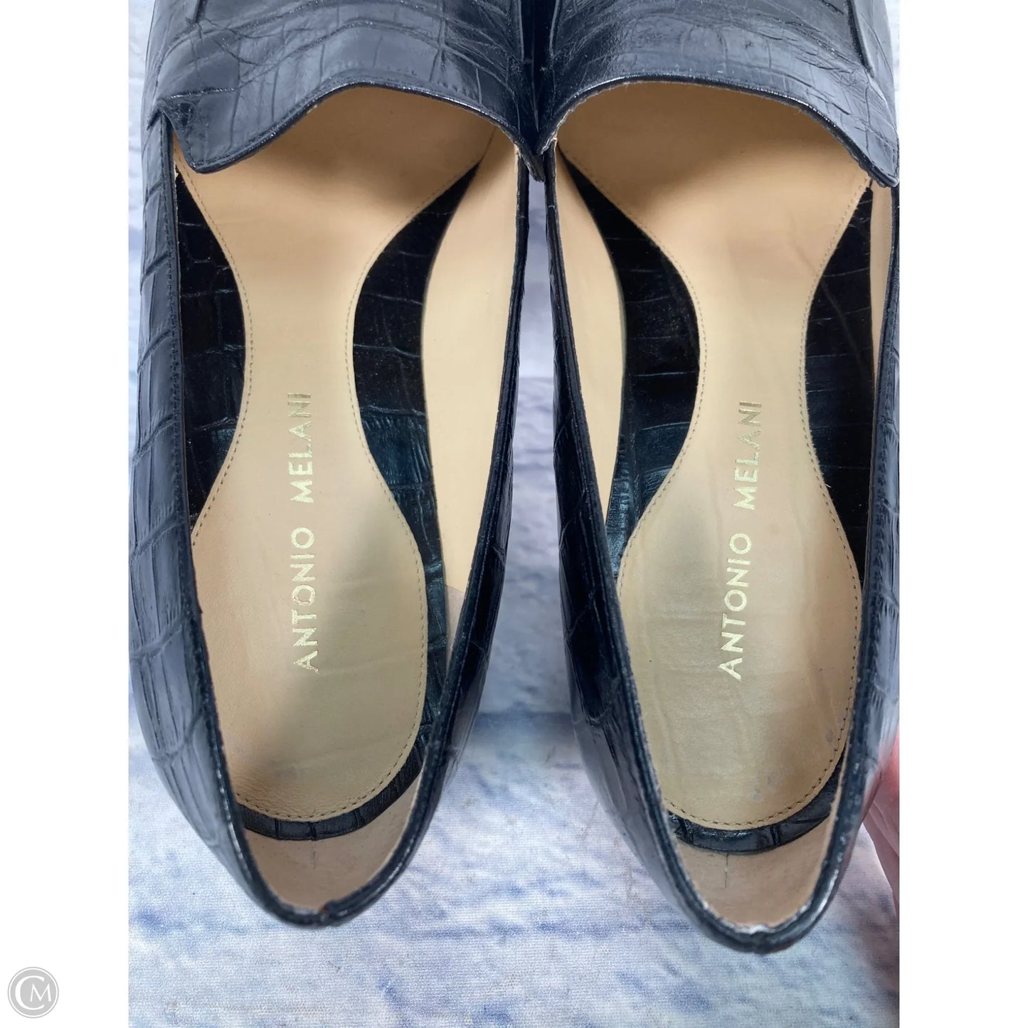 Shoes Heels Block By Antonio Melani In Black, Size: 10