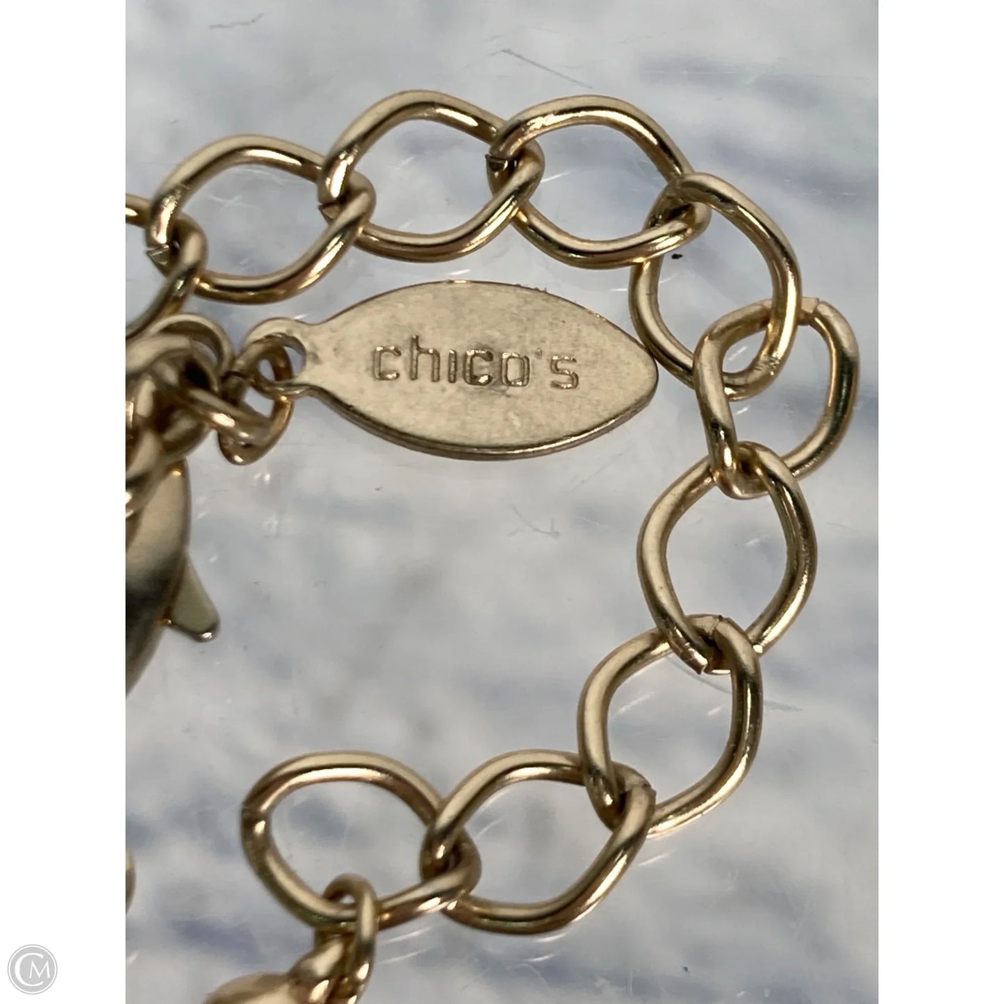 Necklace Lariat & Y-drop By Chicos