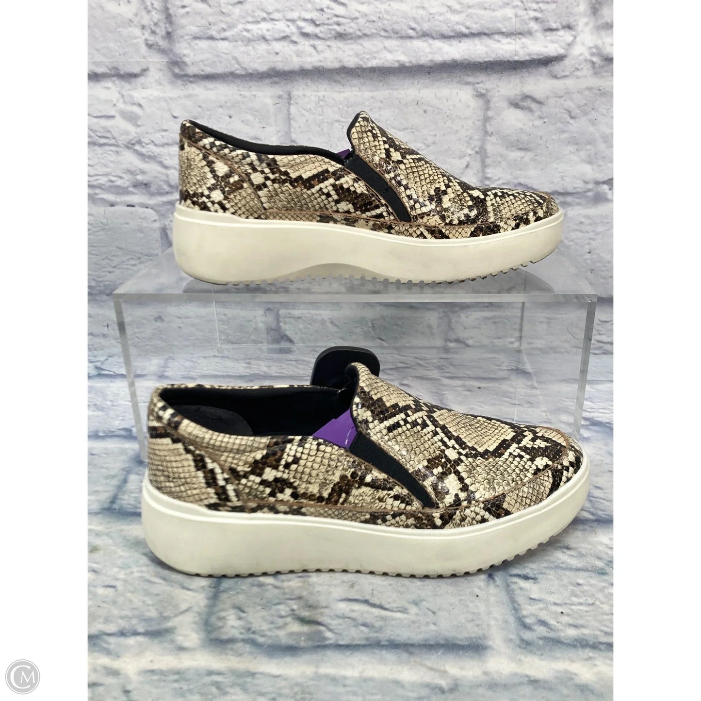 Shoes Sneakers By Vince In Snakeskin Print, Size: 7