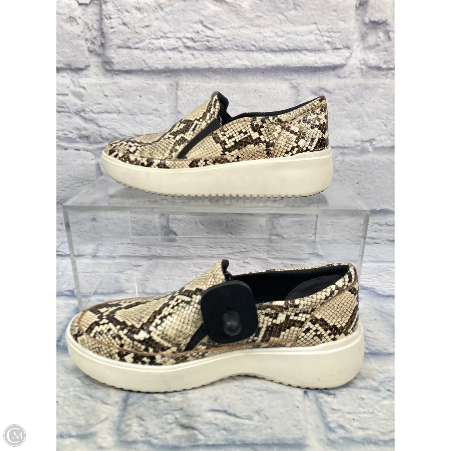 Shoes Sneakers By Vince In Snakeskin Print, Size: 7